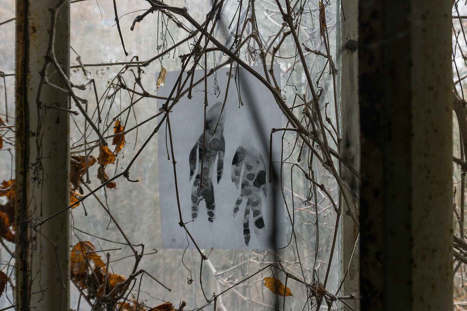 article image; primary-color: #5F5C55;