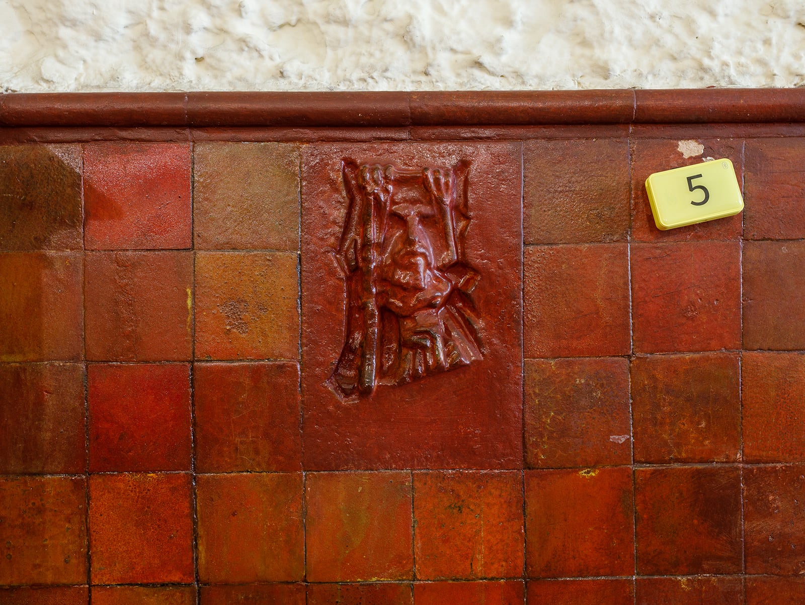 article image; primary-color: #8C4E35;