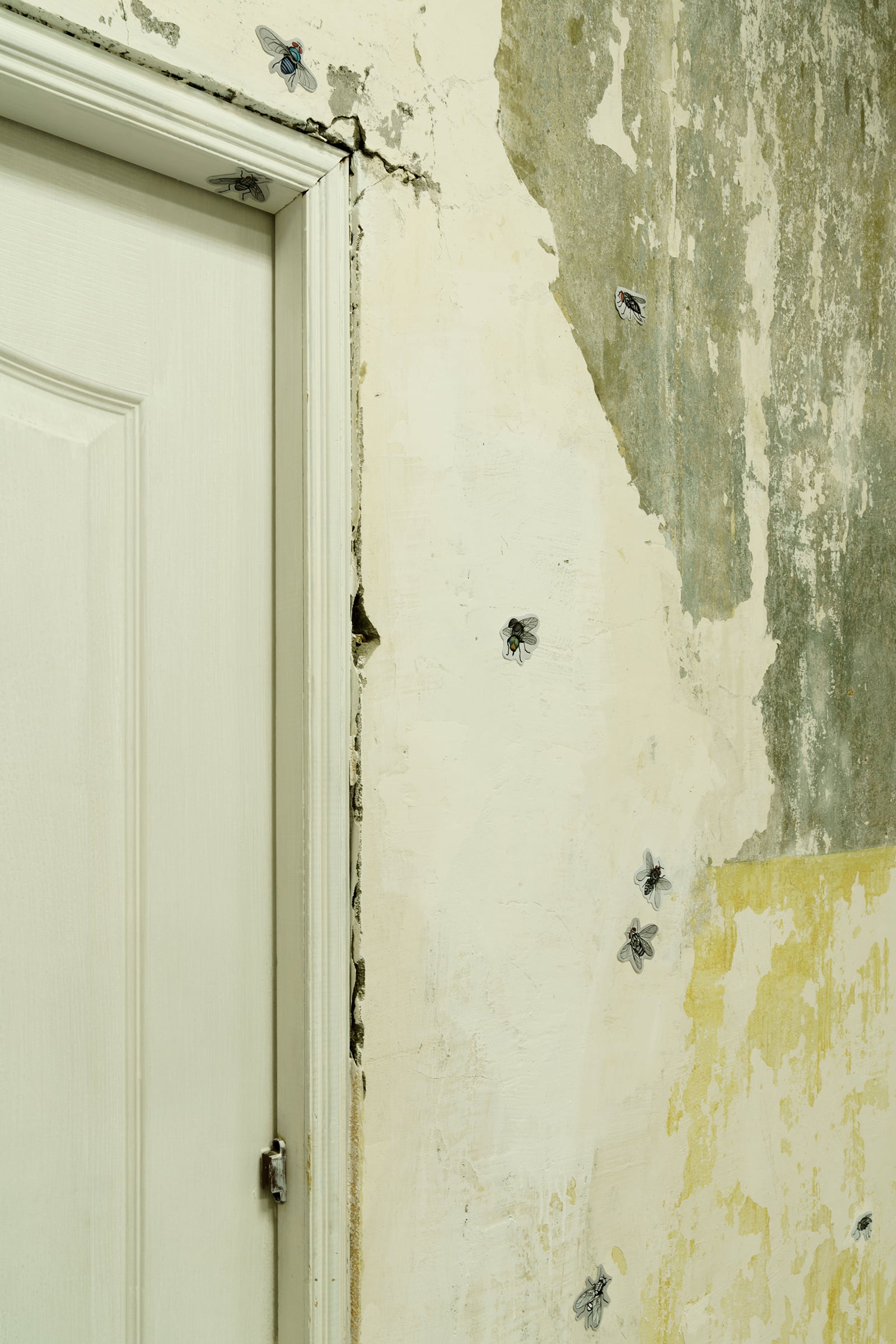 article image; primary-color: #C2C3A3;