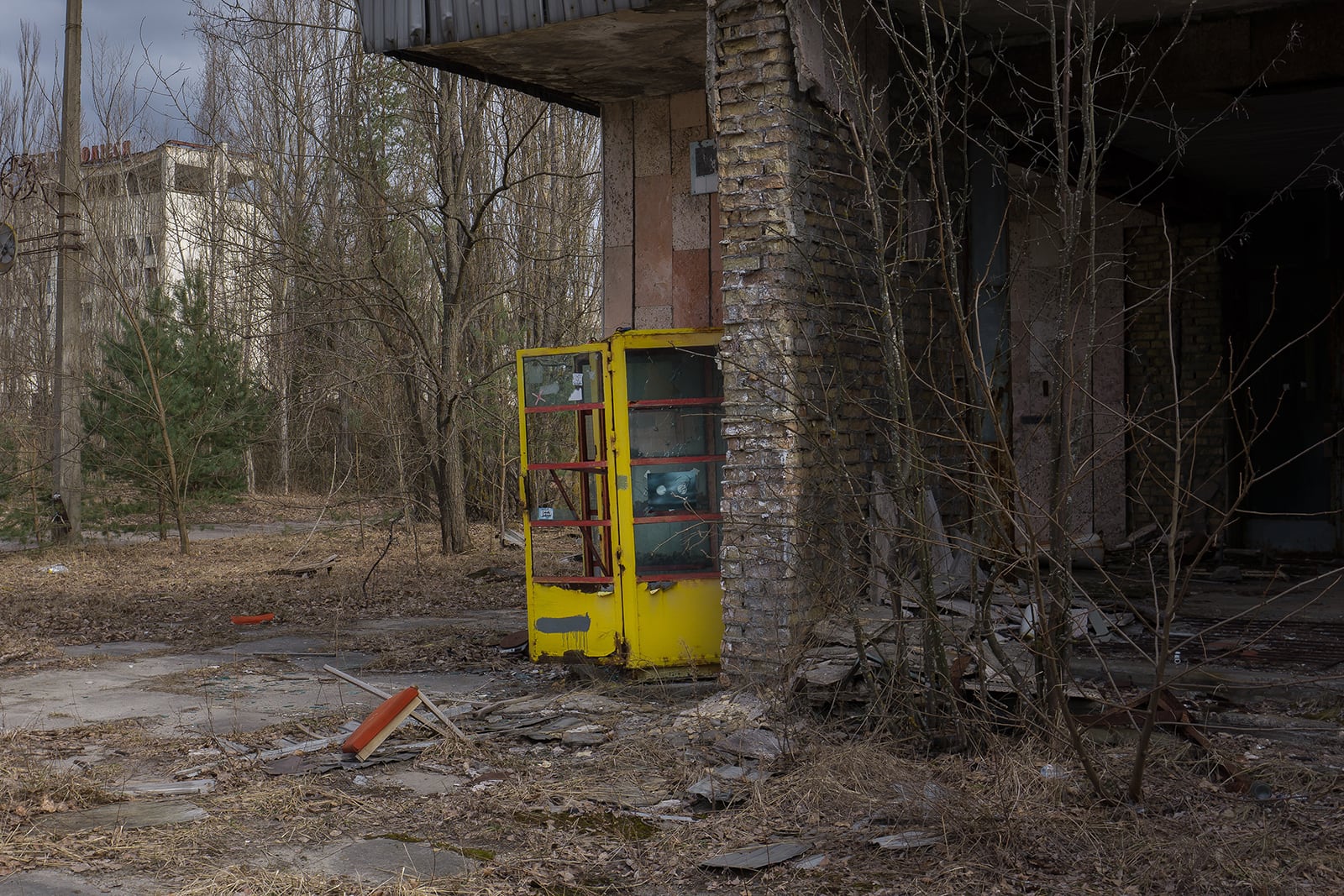 article image; primary-color: #474038;