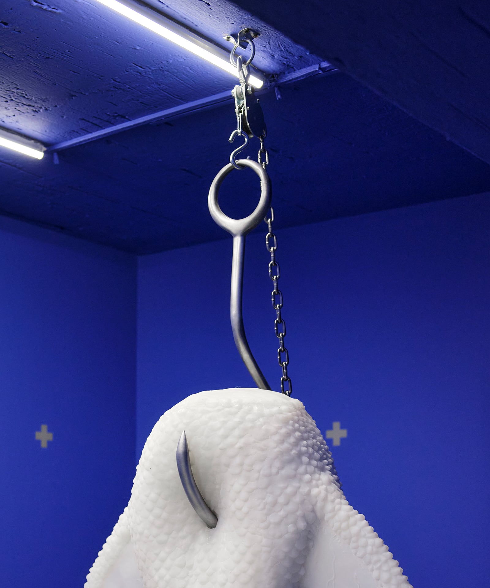 article image; primary-color: #394180;