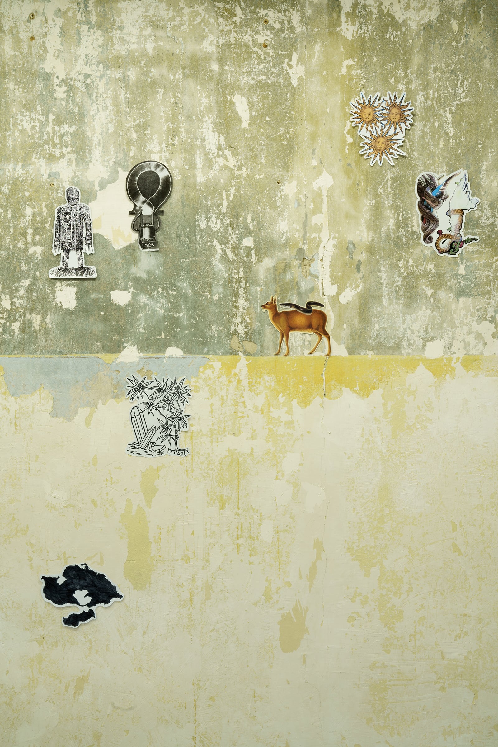 article image; primary-color: #BFBC99;