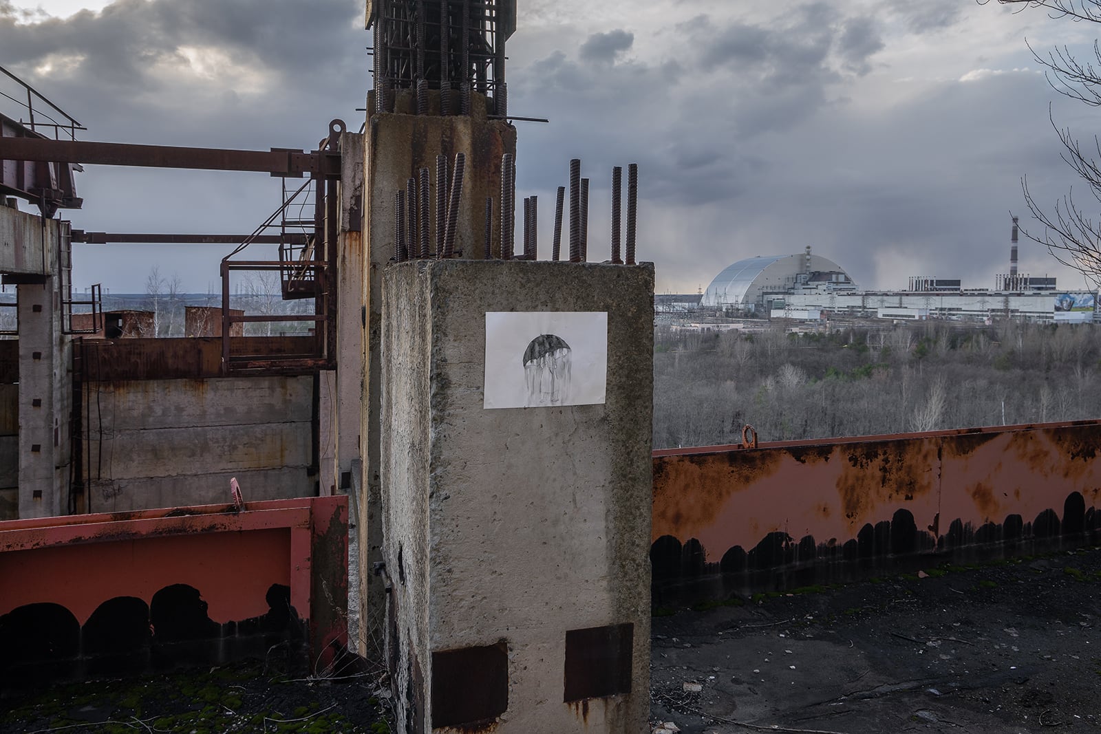 article image; primary-color: #59545A;