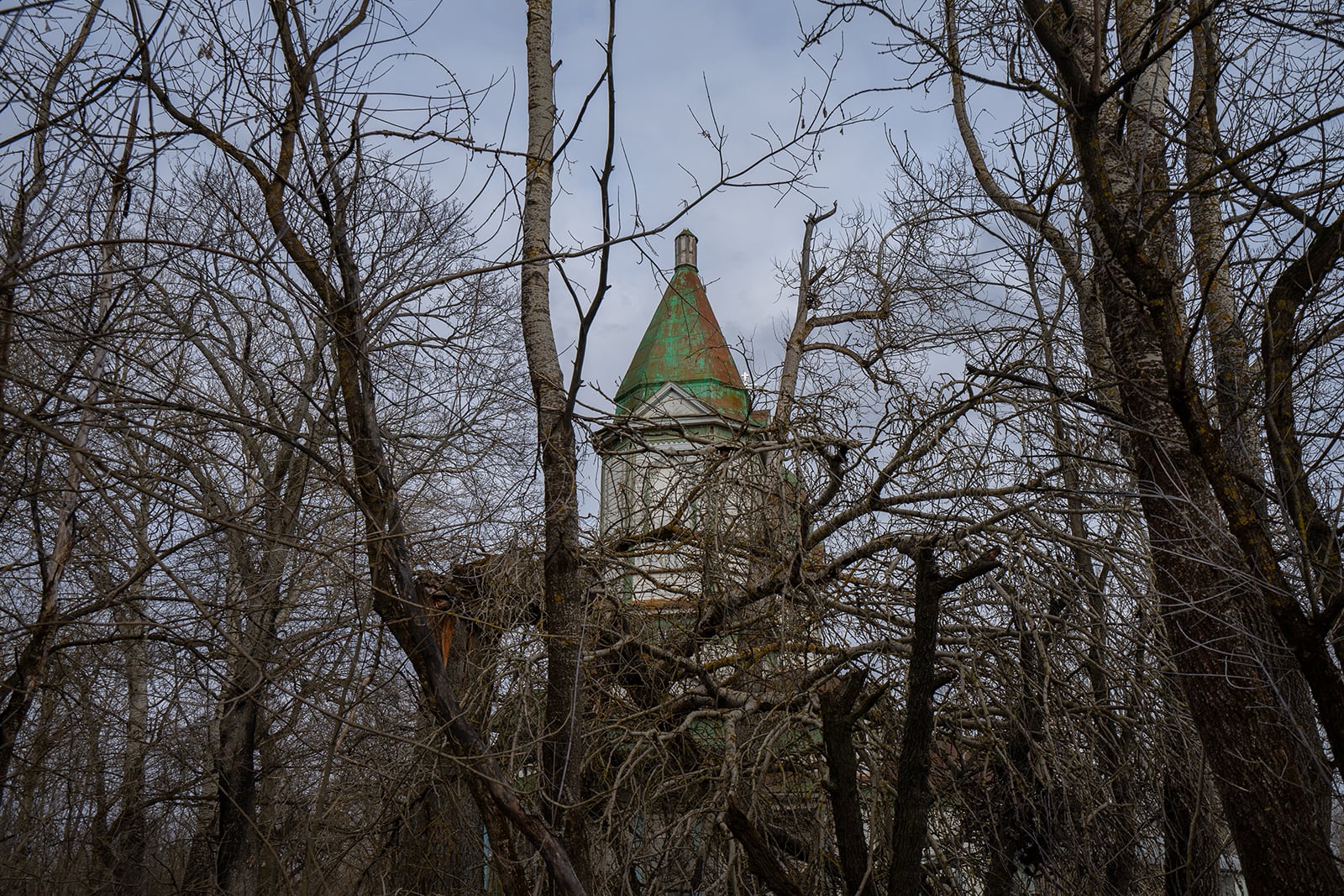 article image; primary-color: #525156;