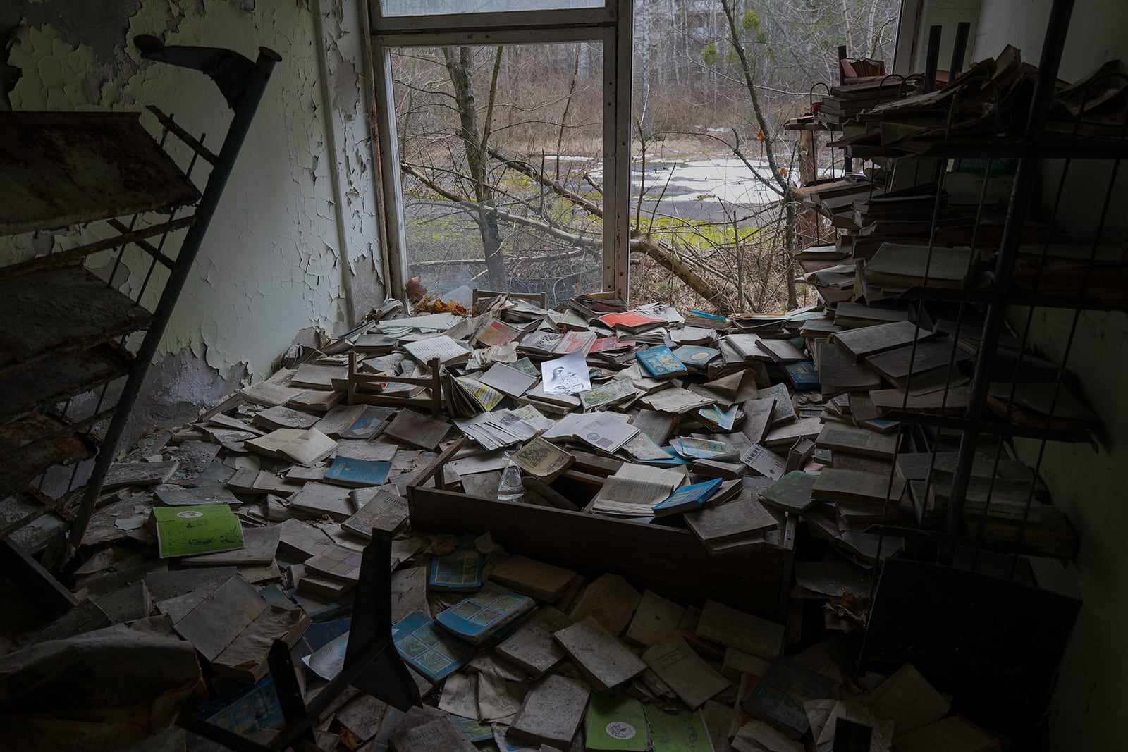 article image; primary-color: #373330;