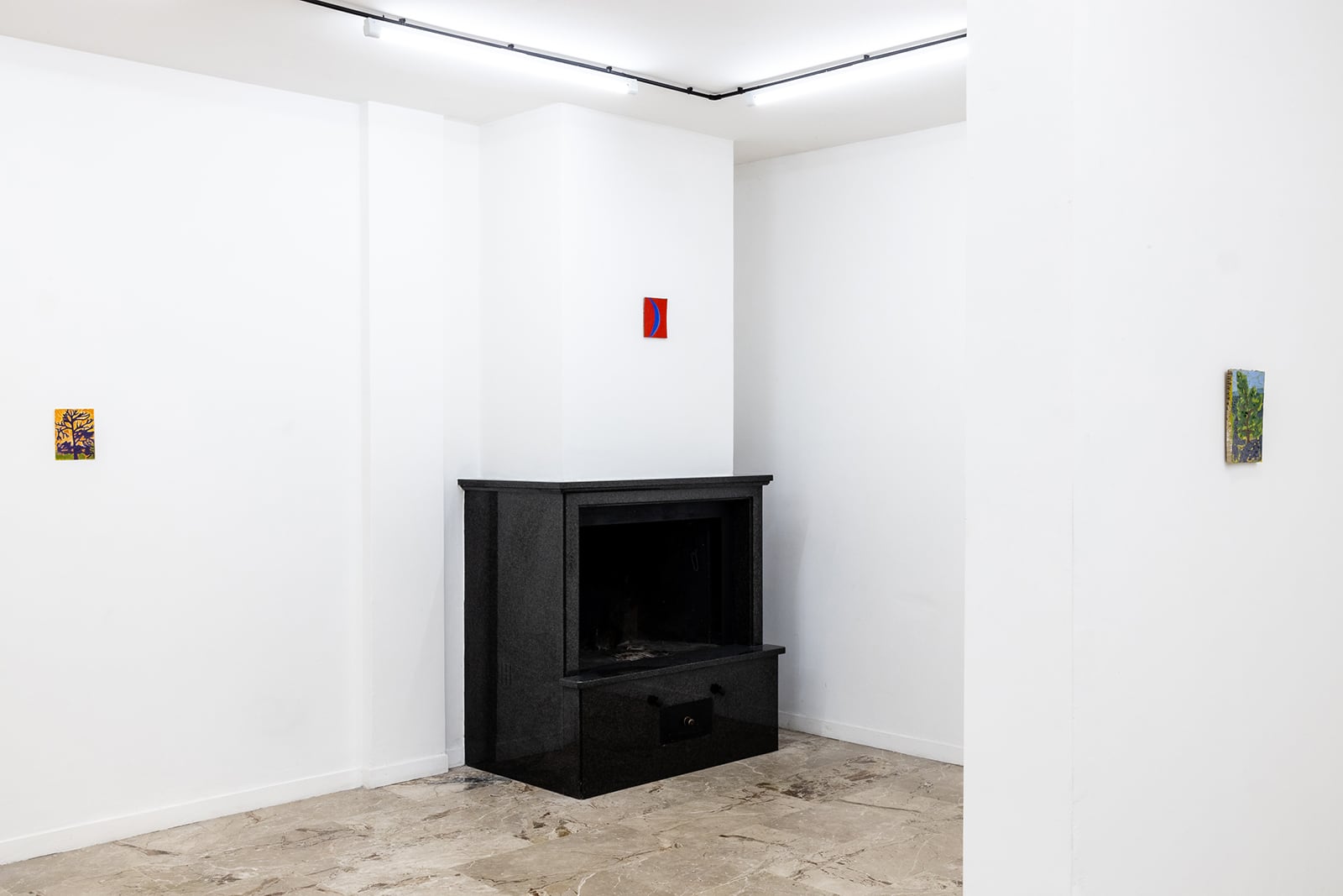 article image; primary-color: #D1D1D1;