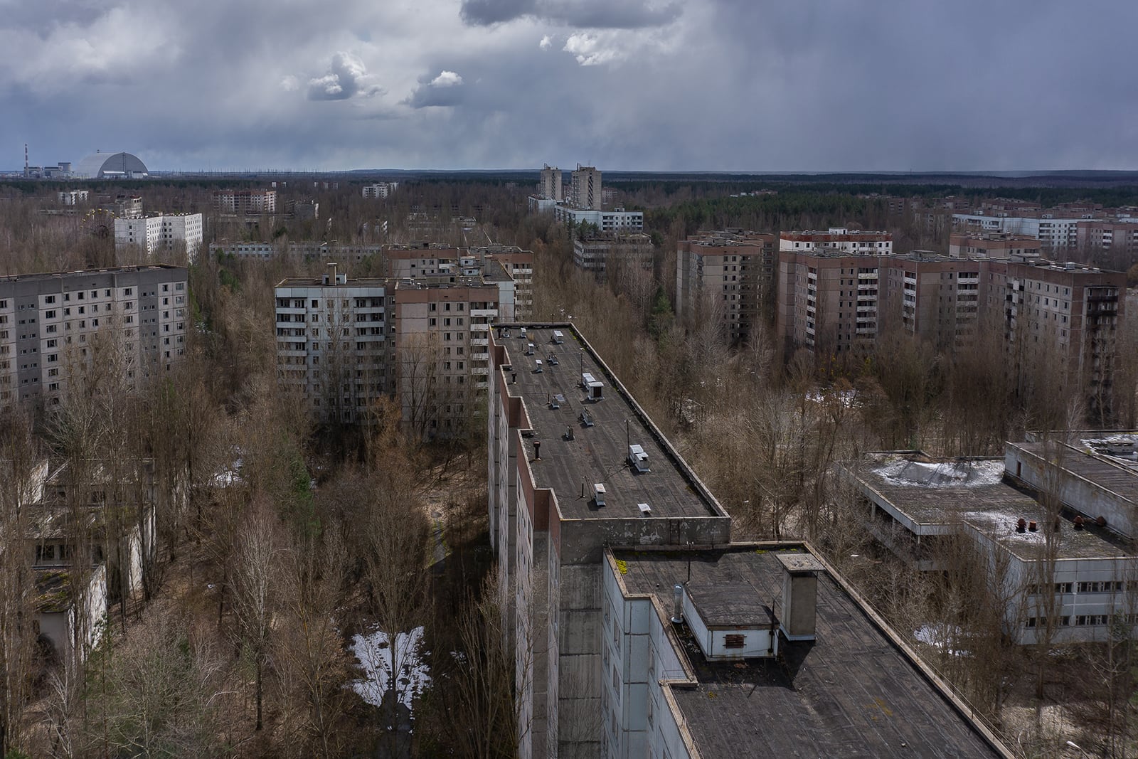 article image; primary-color: #575258;