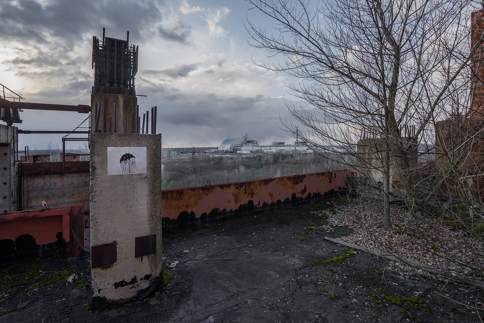 article image; primary-color: #59585D;