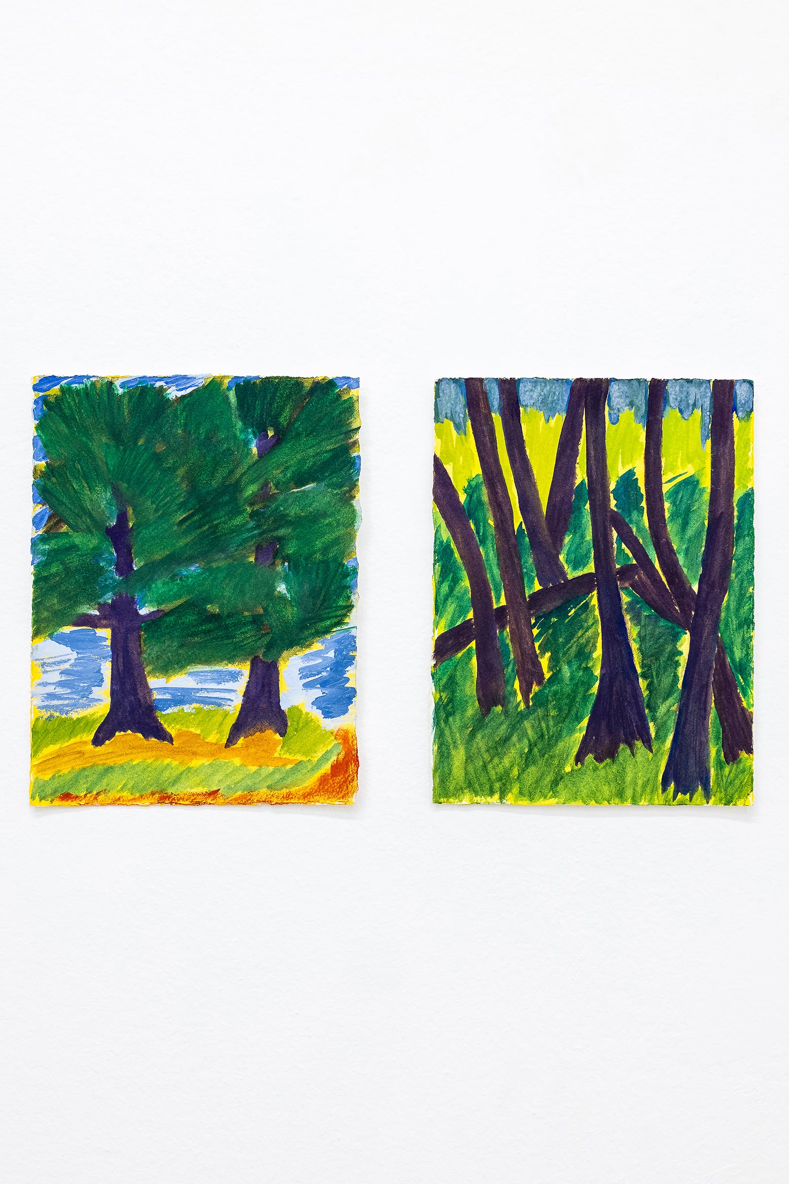 article image; primary-color: #C6D0C5;