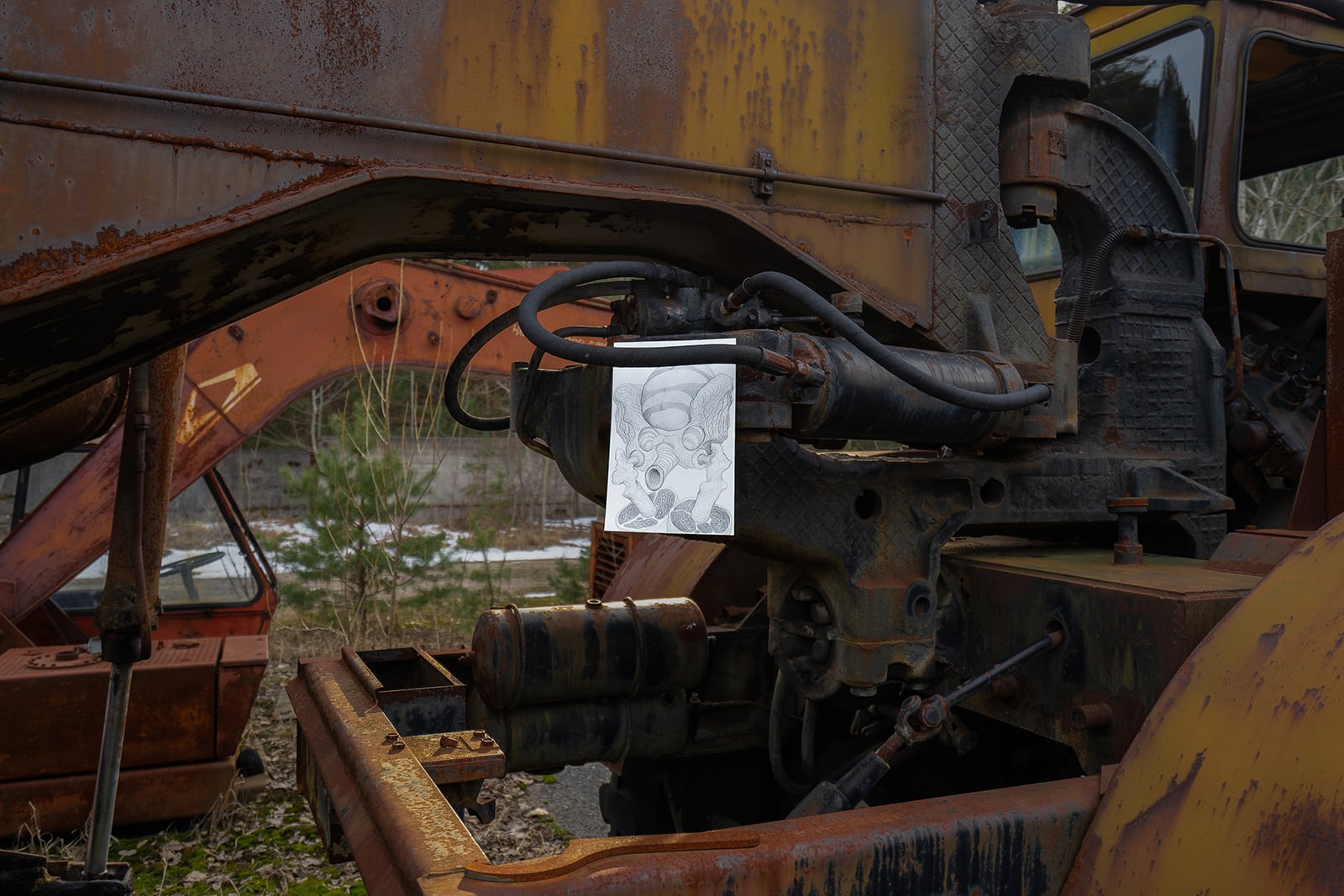 article image; primary-color: #3E3128;