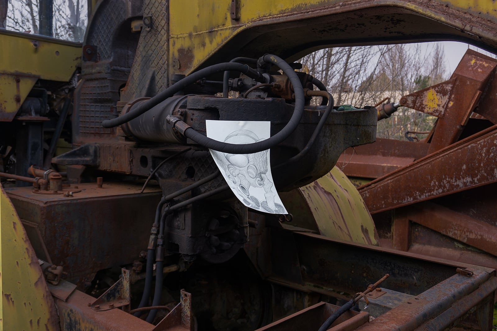 article image; primary-color: #3B322D;