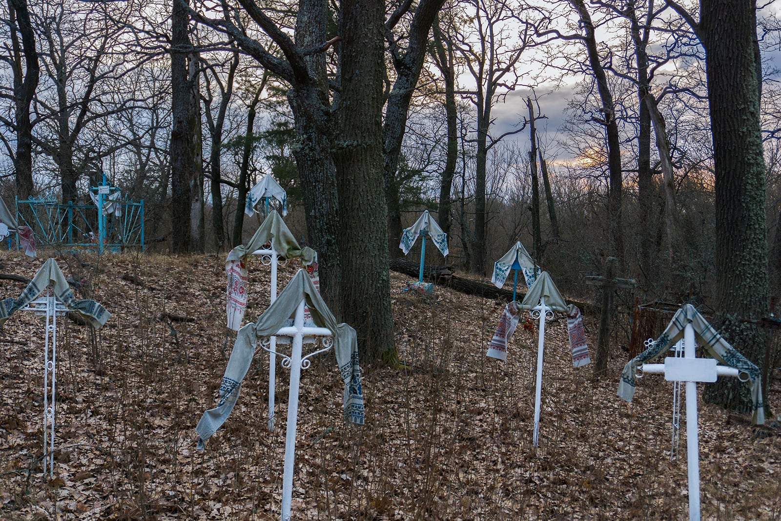 article image; primary-color: #545051;