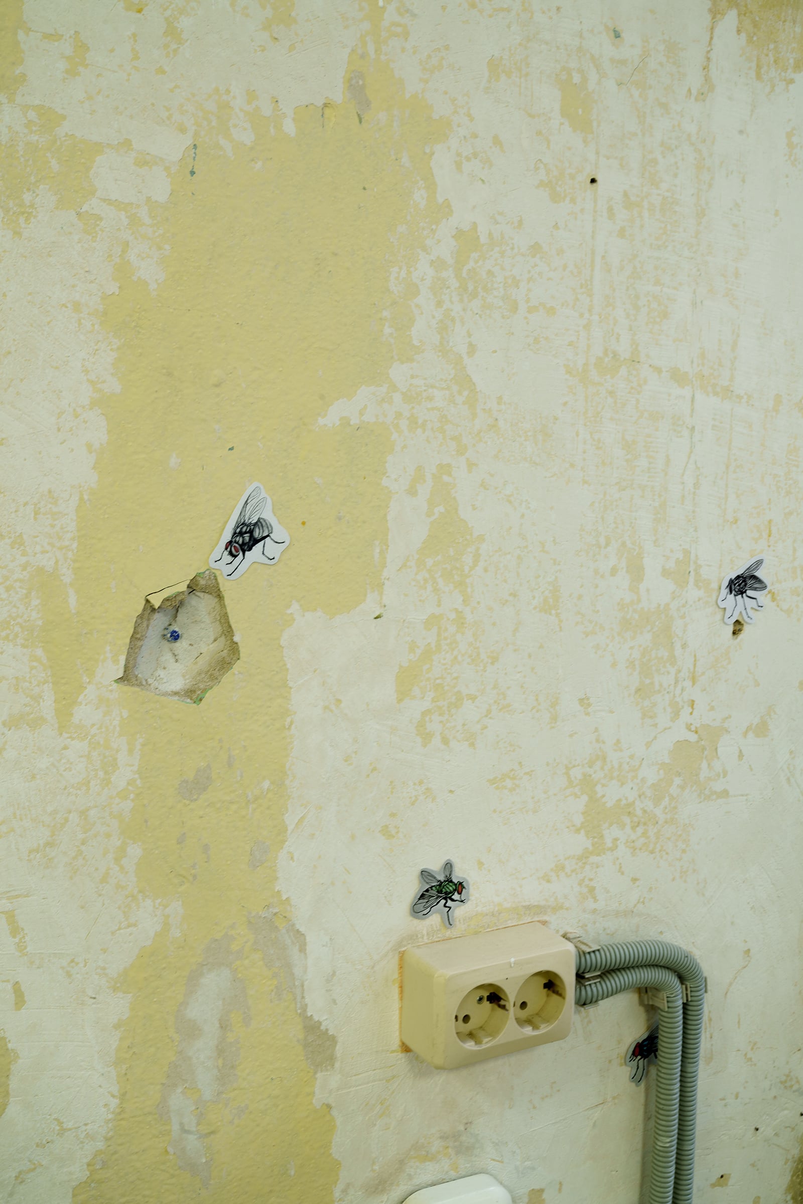 article image; primary-color: #B9BB96;