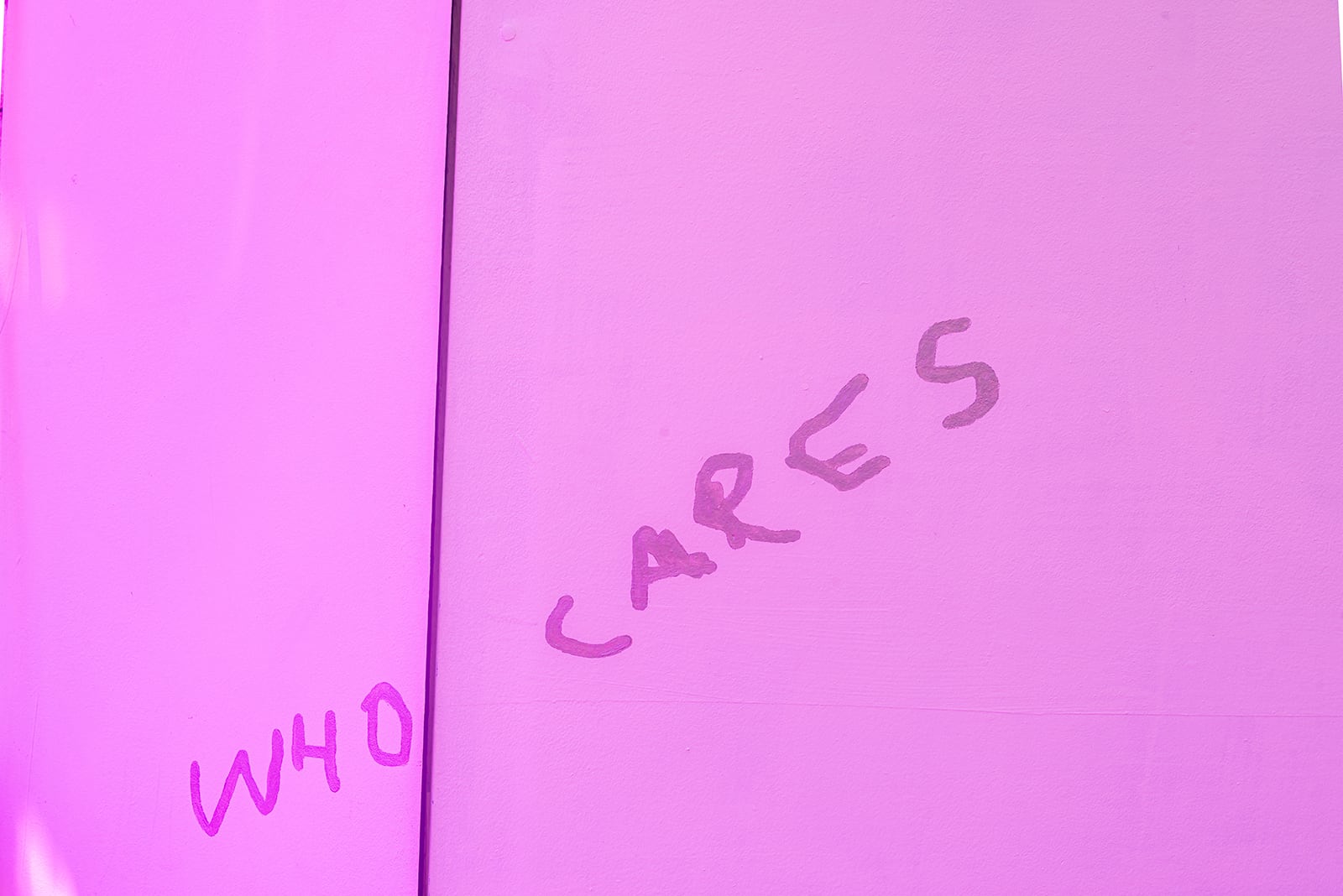 article image; primary-color: #EF8FF0;