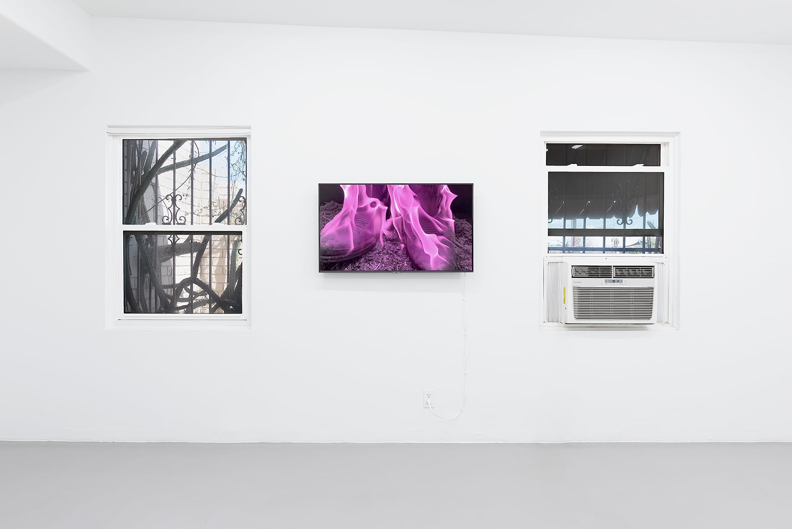 article image; primary-color: #D9D4DA;