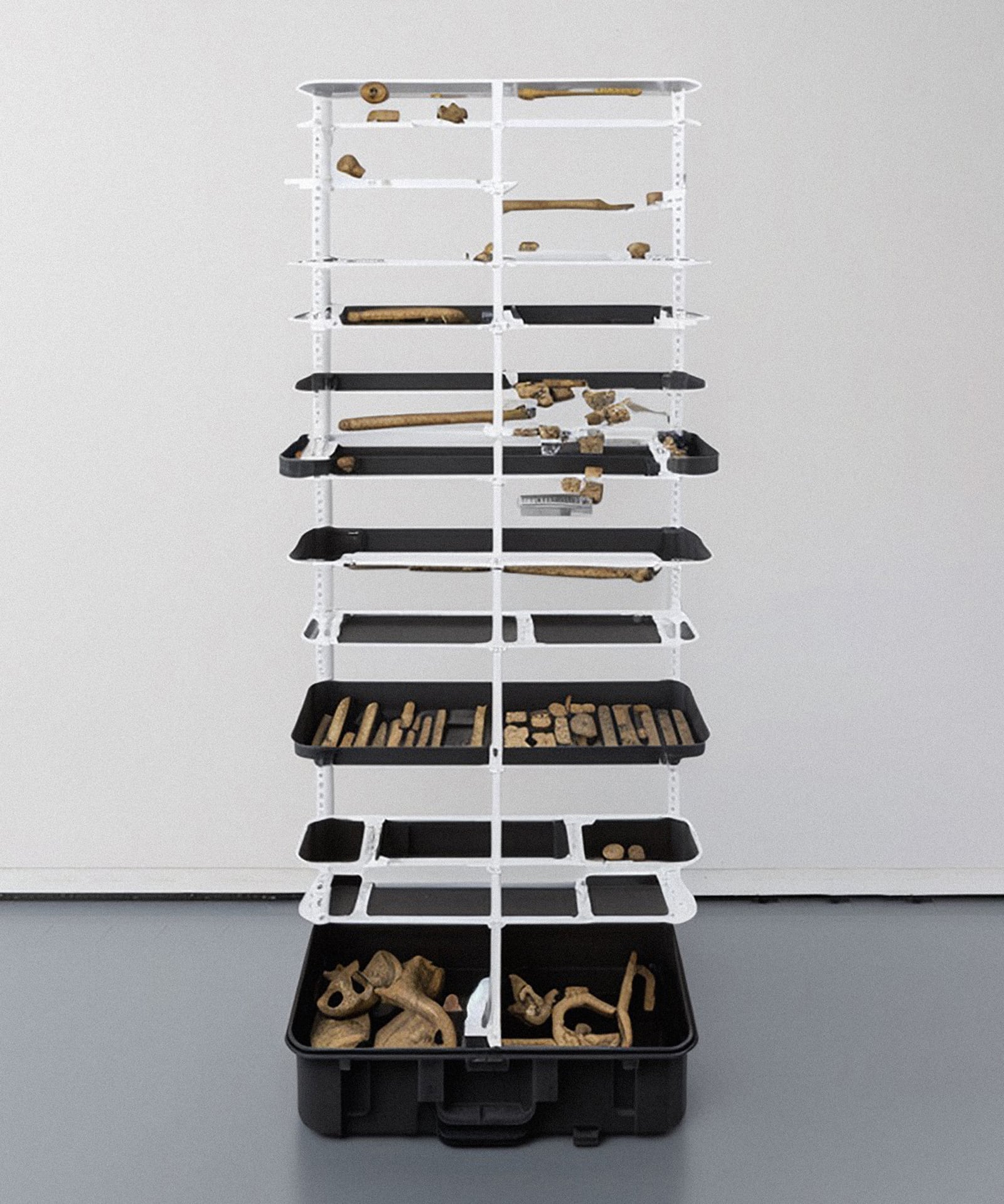 article image; primary-color: #ACACAC;