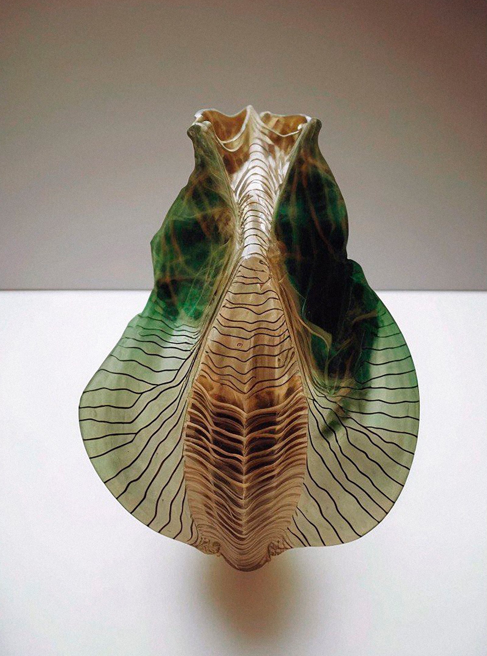 article image; primary-color: #9B9484;