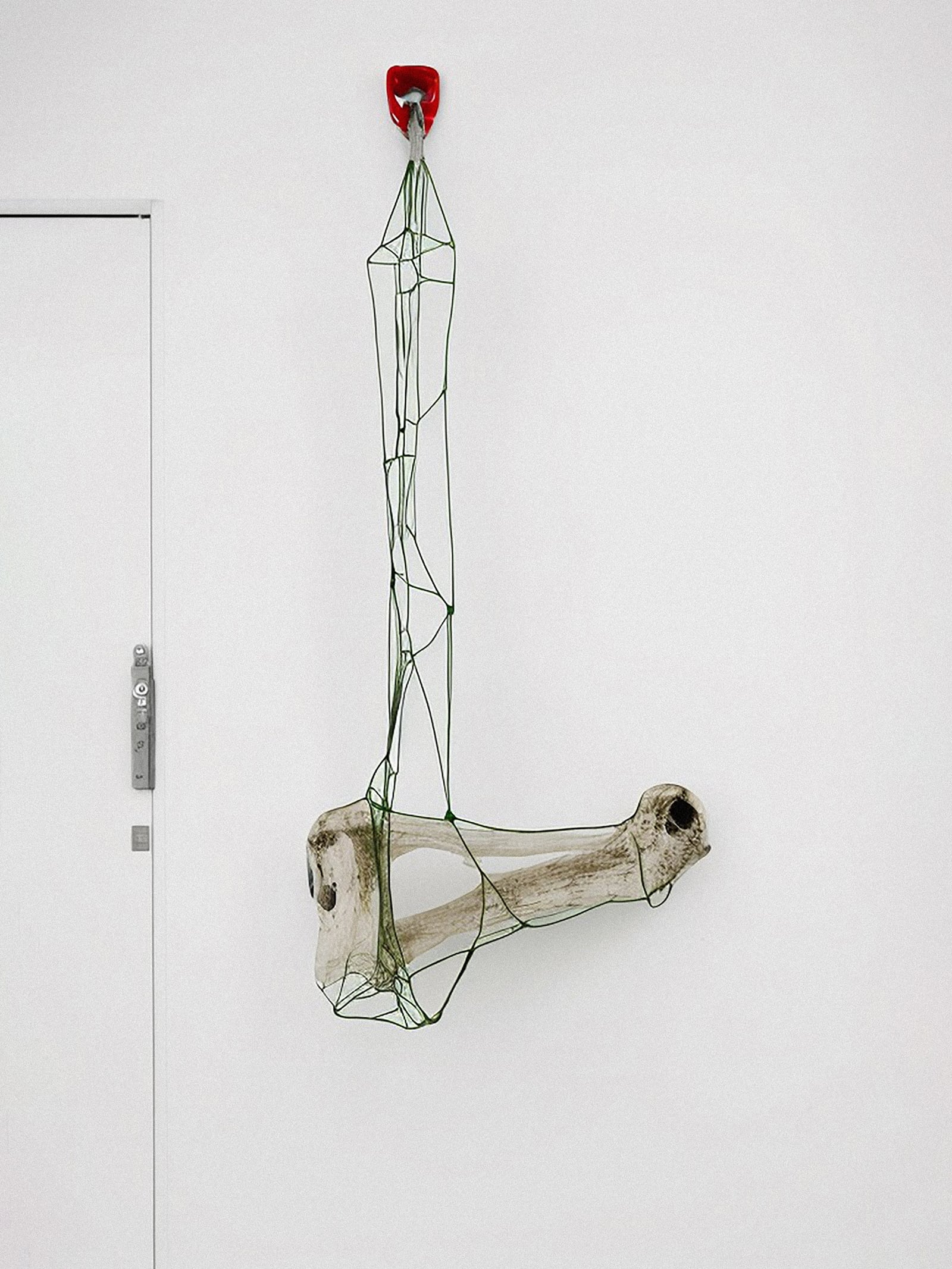 article image; primary-color: #E0DCD9;