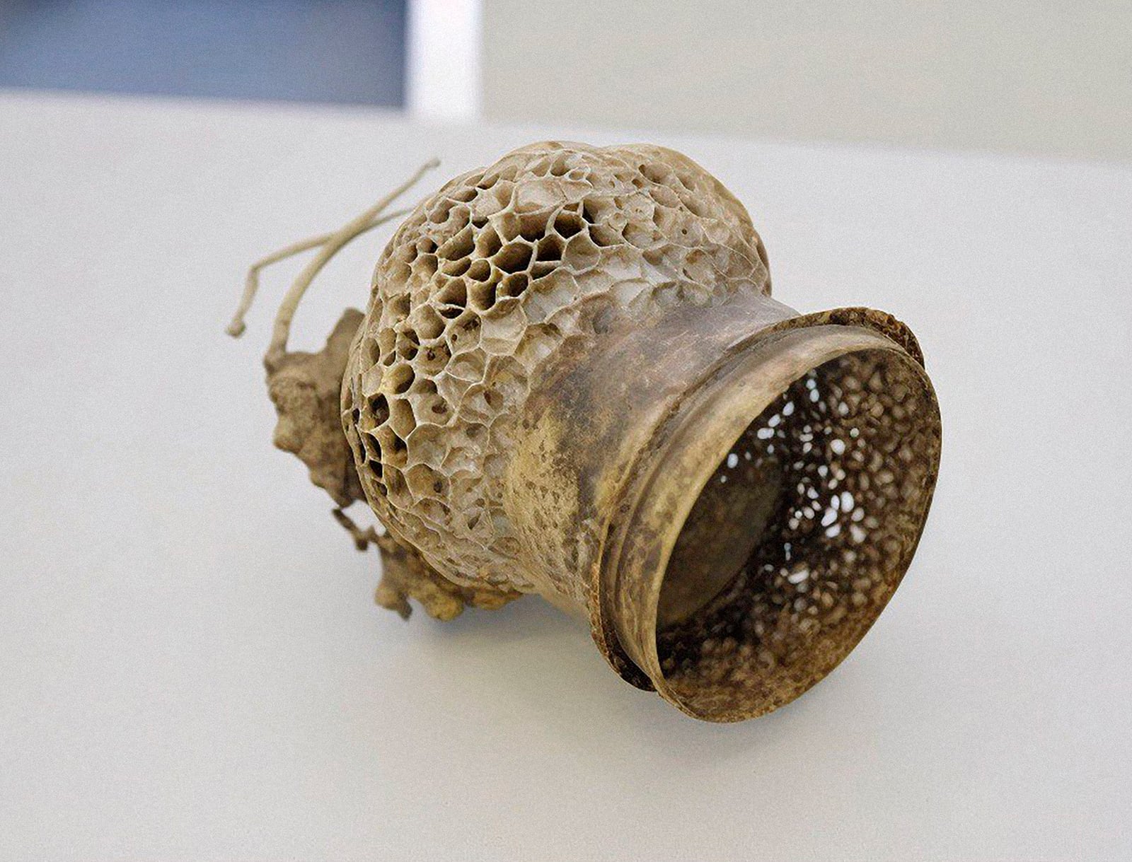 article image; primary-color: #B7B0A8;