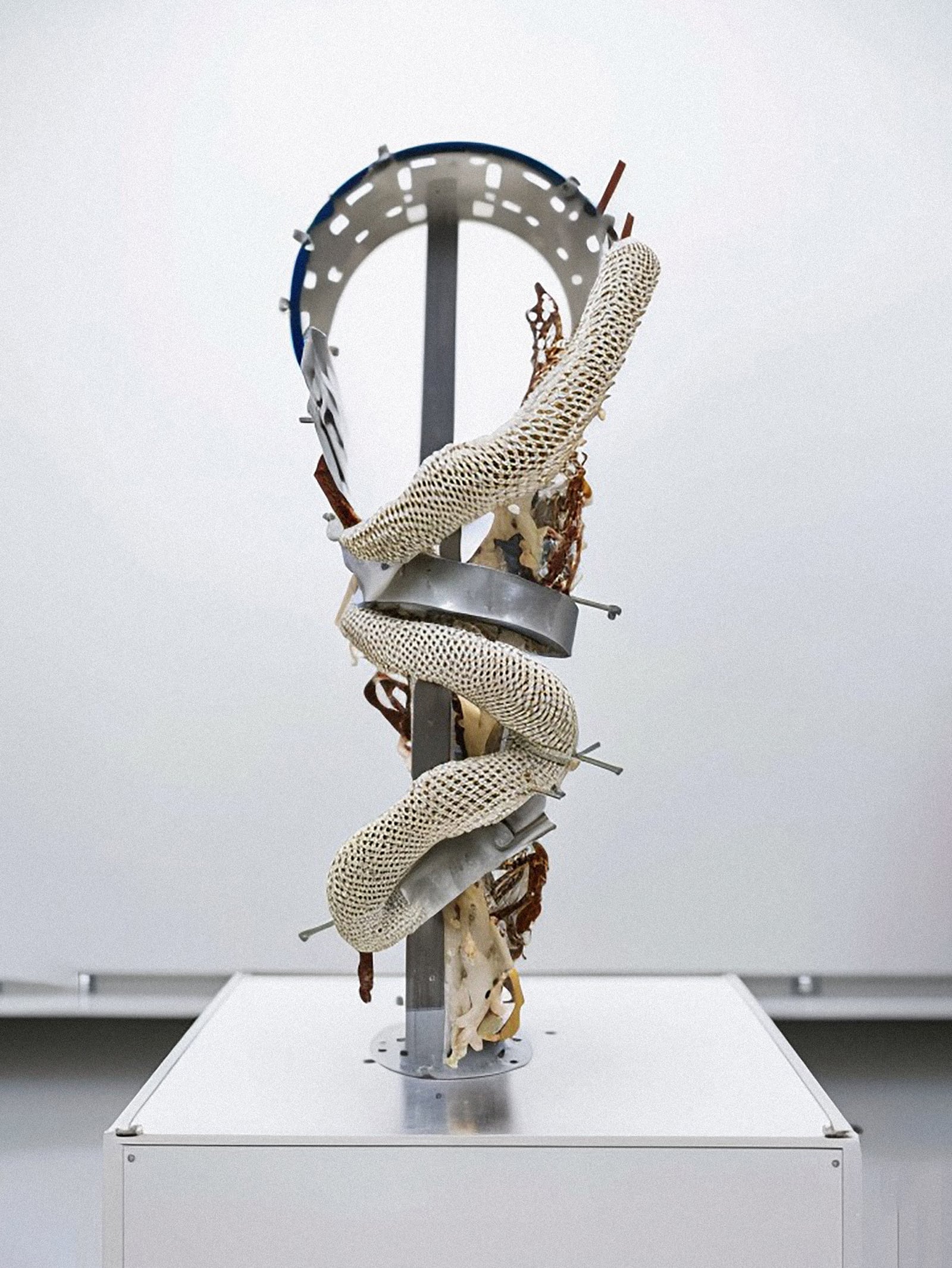 article image; primary-color: #CBCACF;