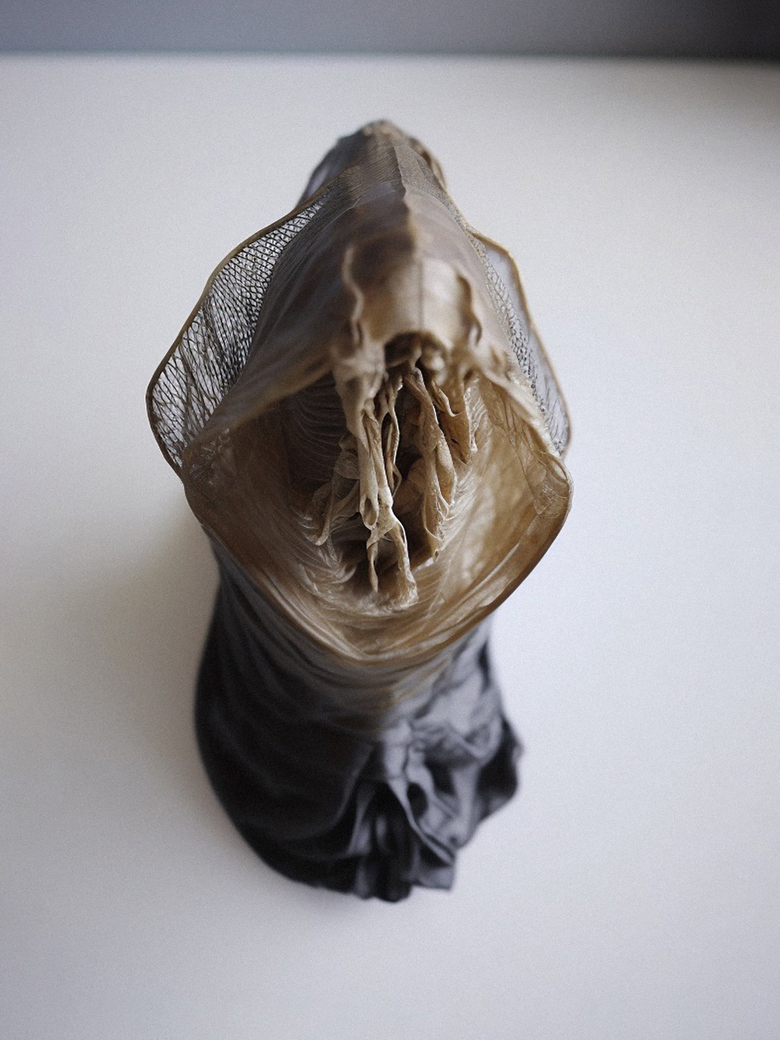 article image; primary-color: #A09BA1;