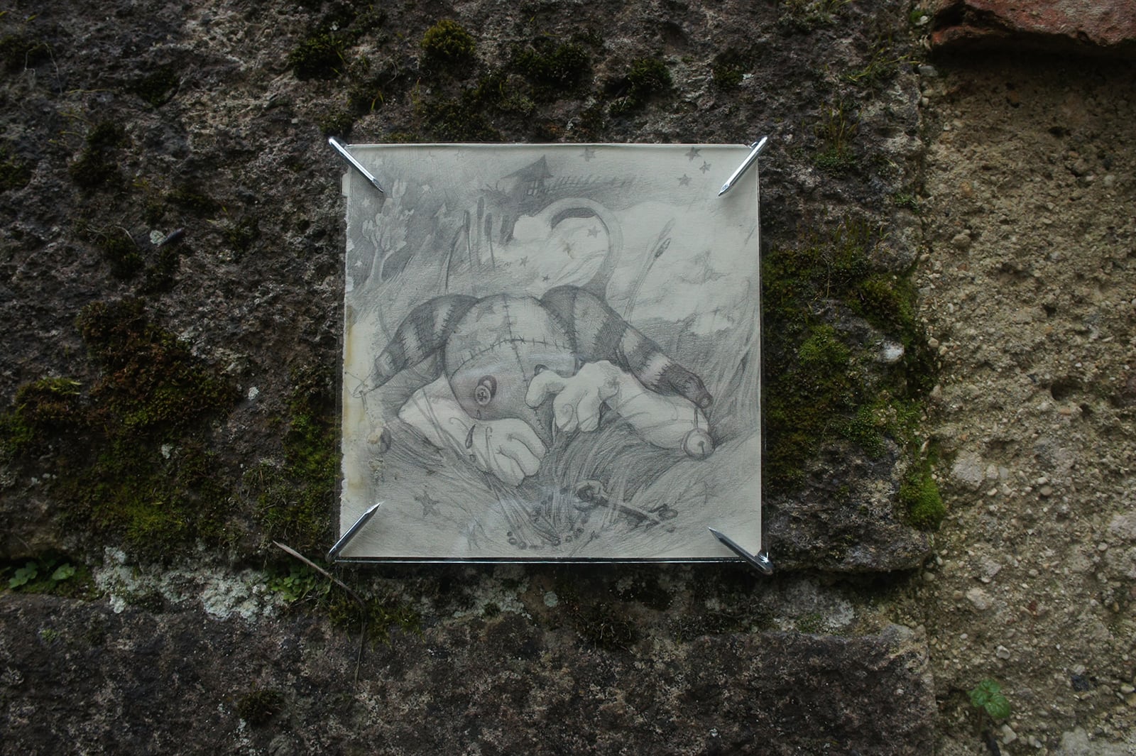 article image; primary-color: #454239;