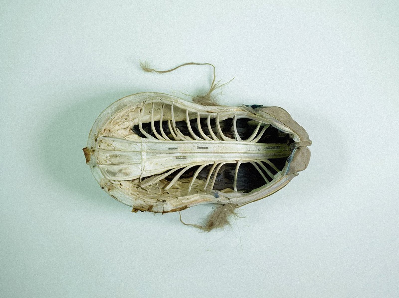 article image; primary-color: #C2CDC5;