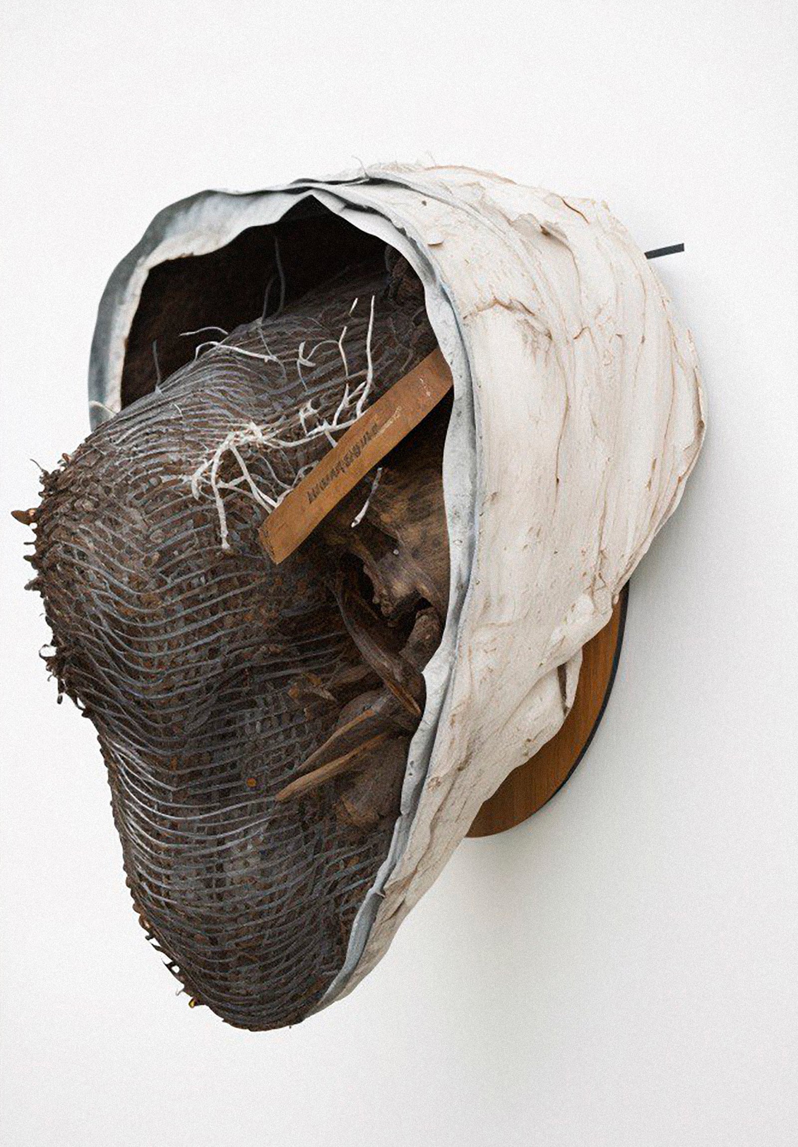 article image; primary-color: #BAB2B0;