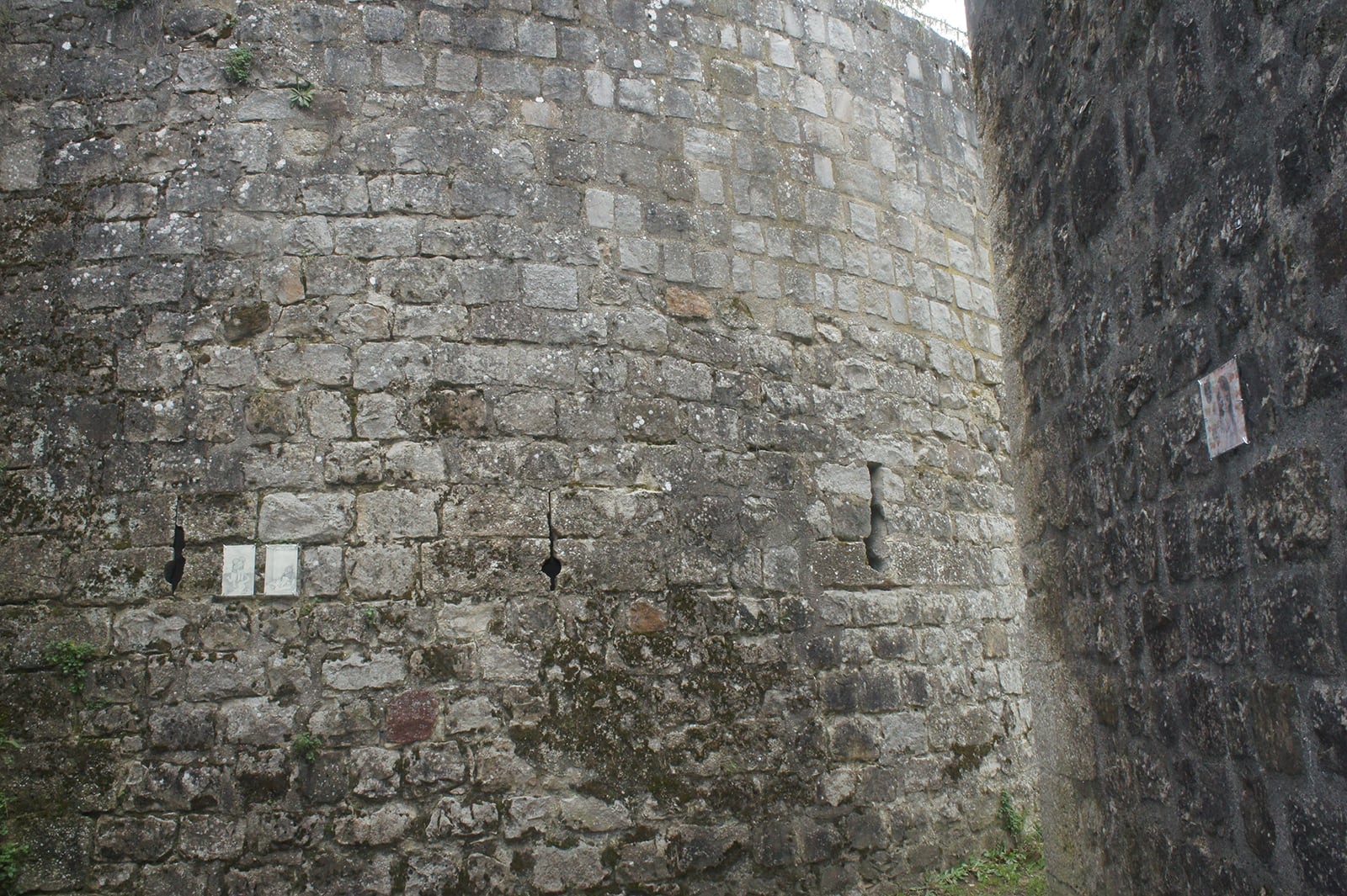 article image; primary-color: #6B6861;