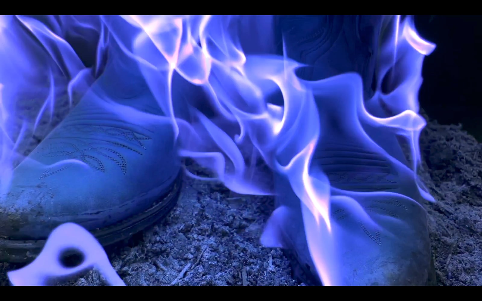 article image; primary-color: #36428E;