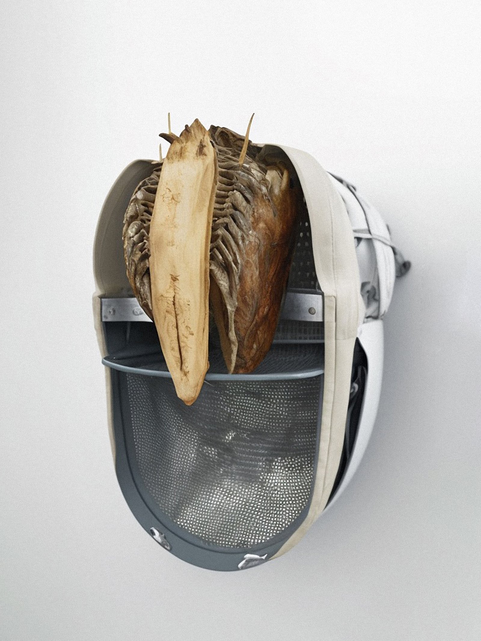 article image; primary-color: #BDB9B6;