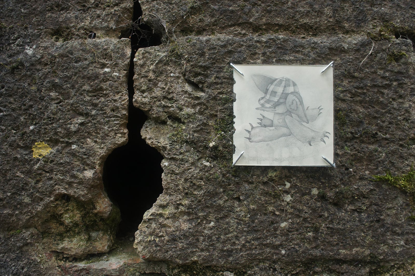 article image; primary-color: #4C4940;