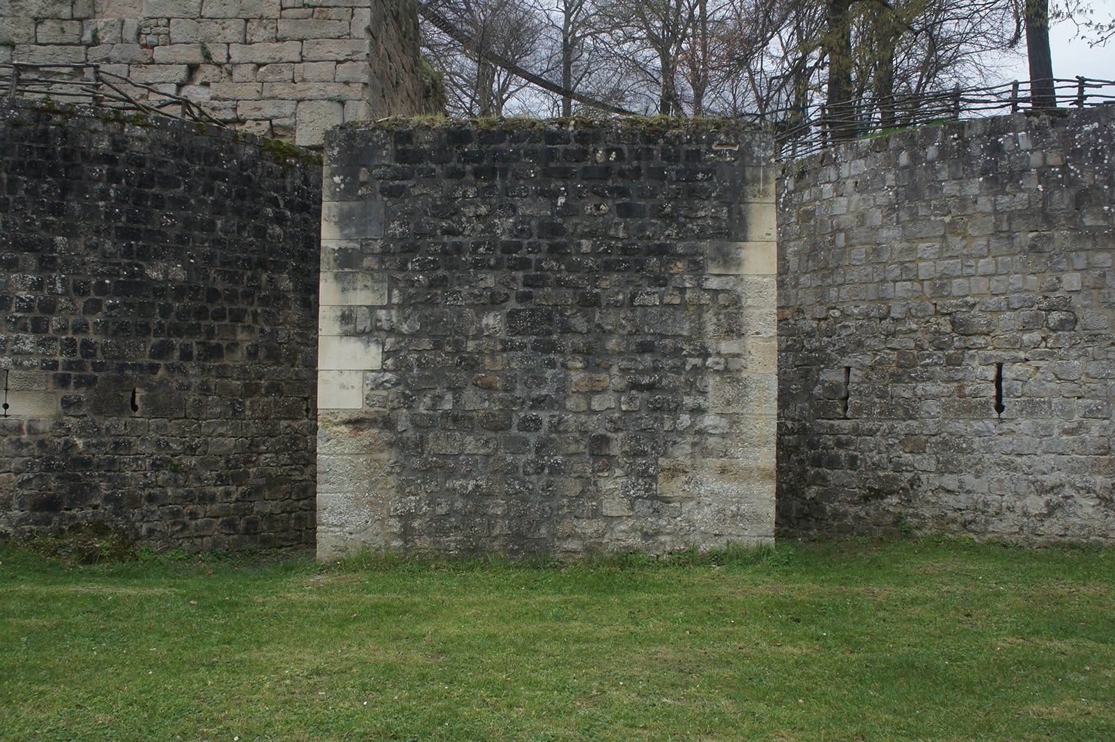 article image; primary-color: #535A4A;