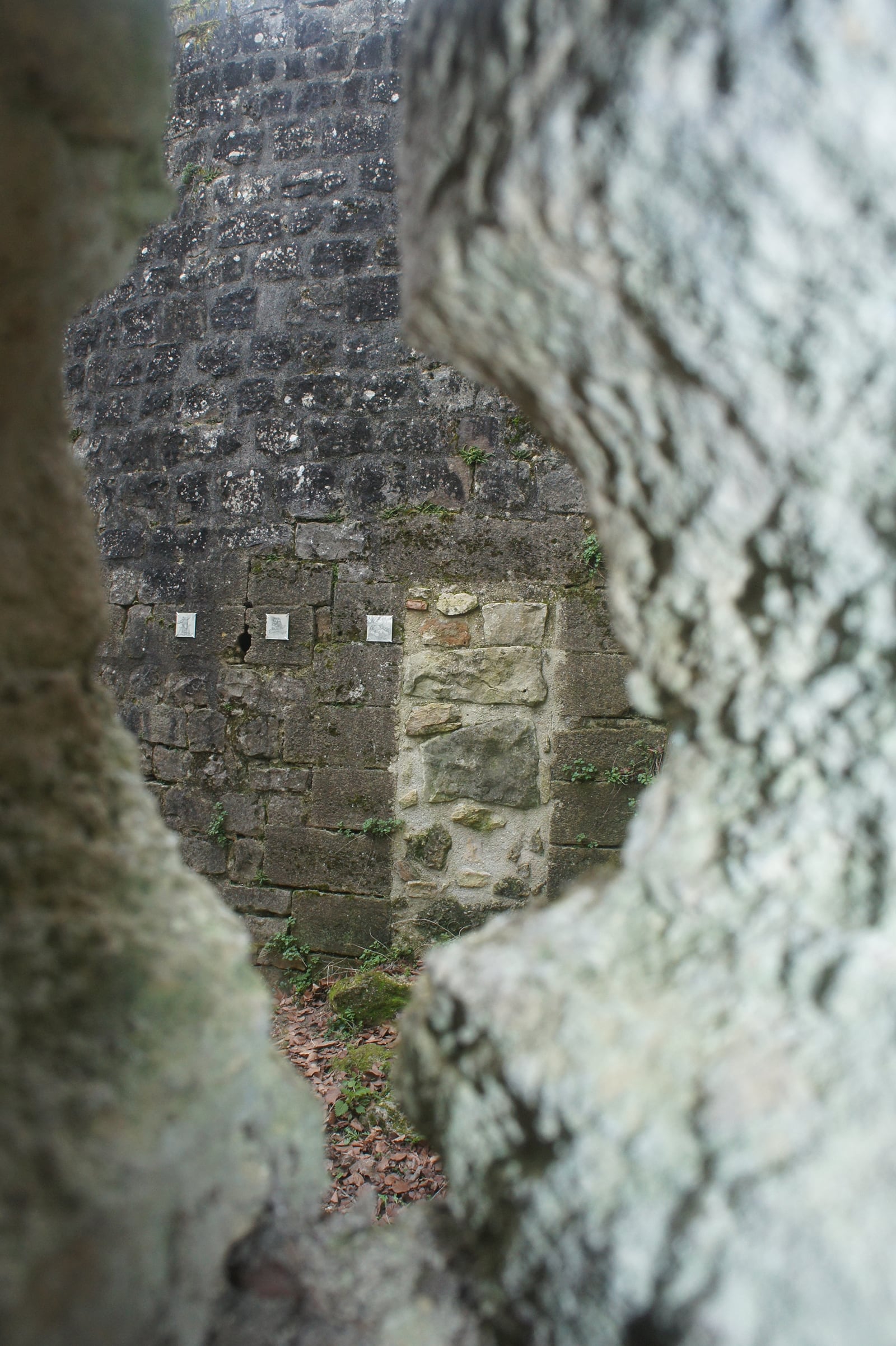 article image; primary-color: #7A8076;