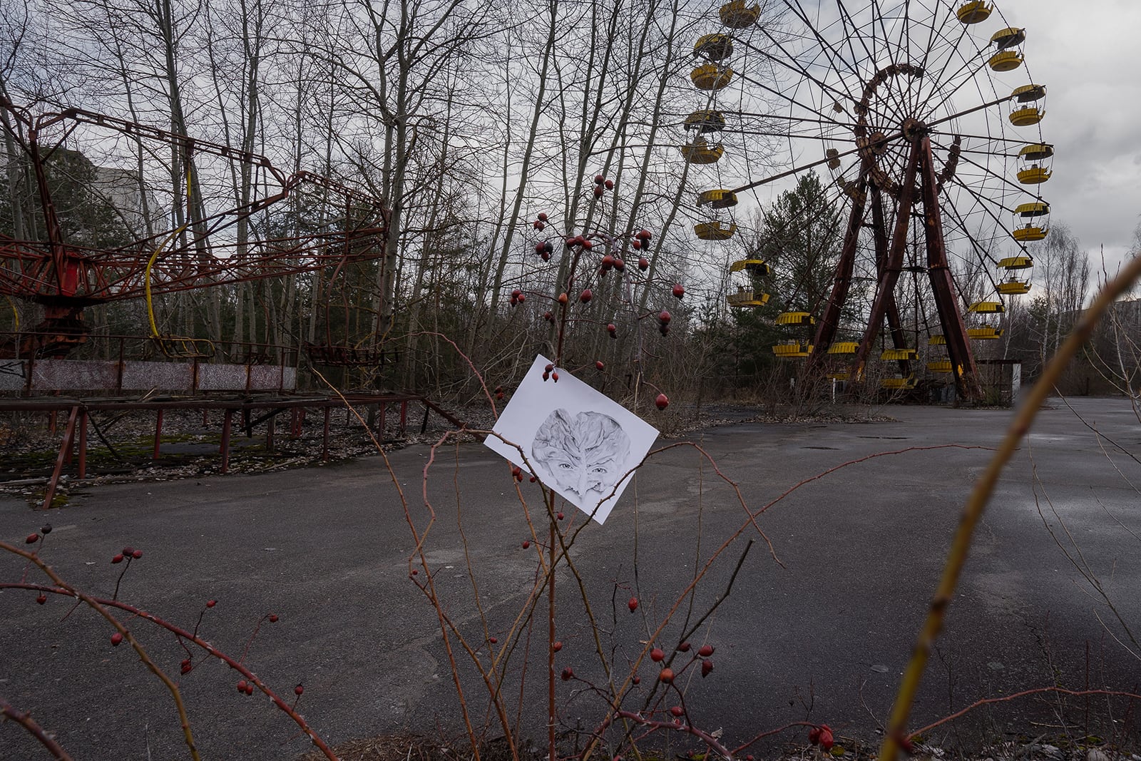 article image; primary-color: #5A5250;