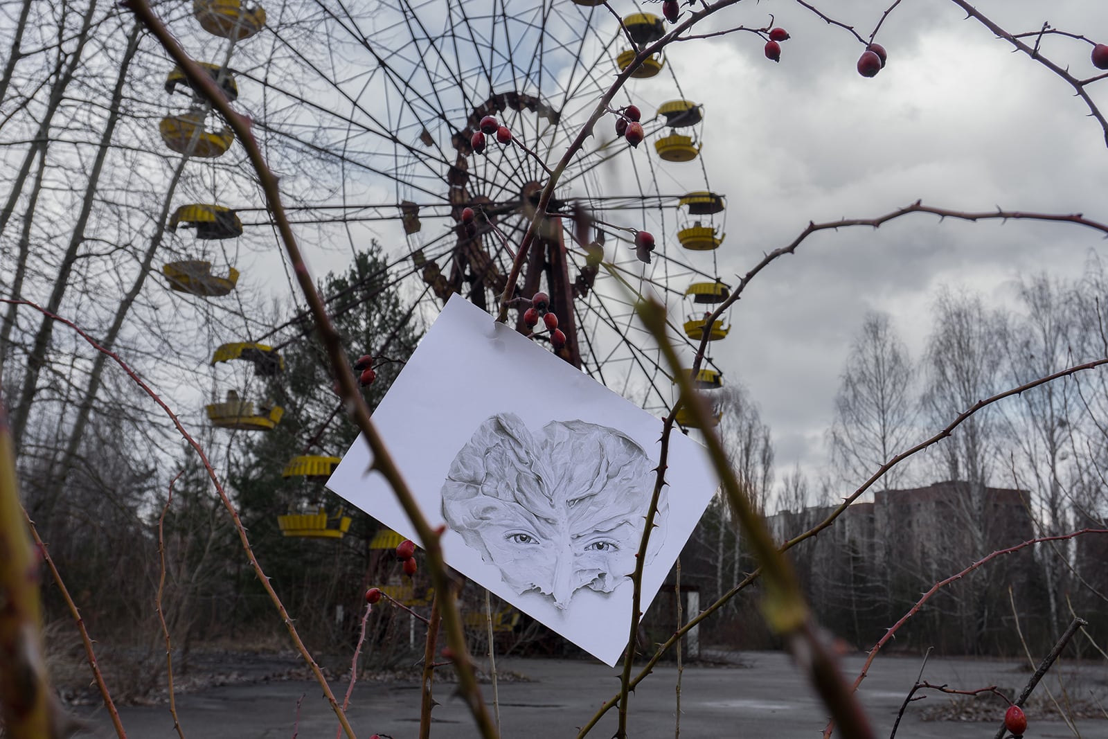 article image; primary-color: #7A797E;