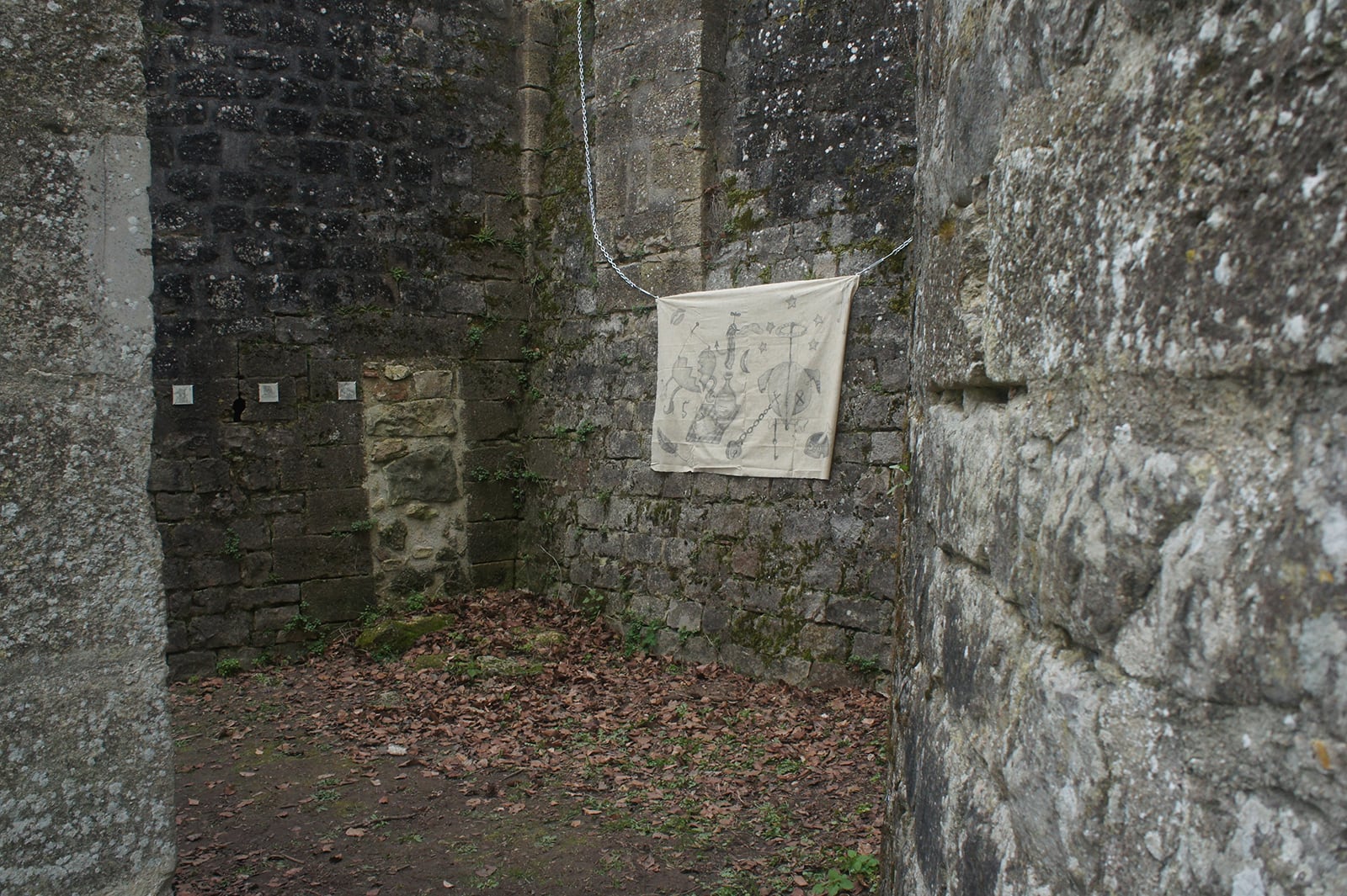 article image; primary-color: #5A5750;