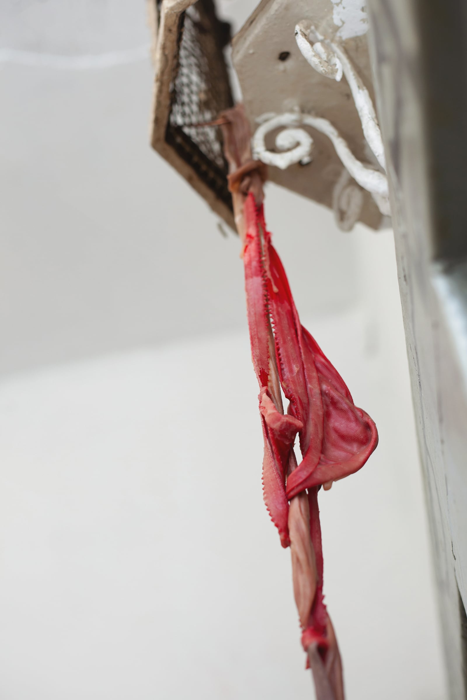 article image; primary-color: #BDB4AF;