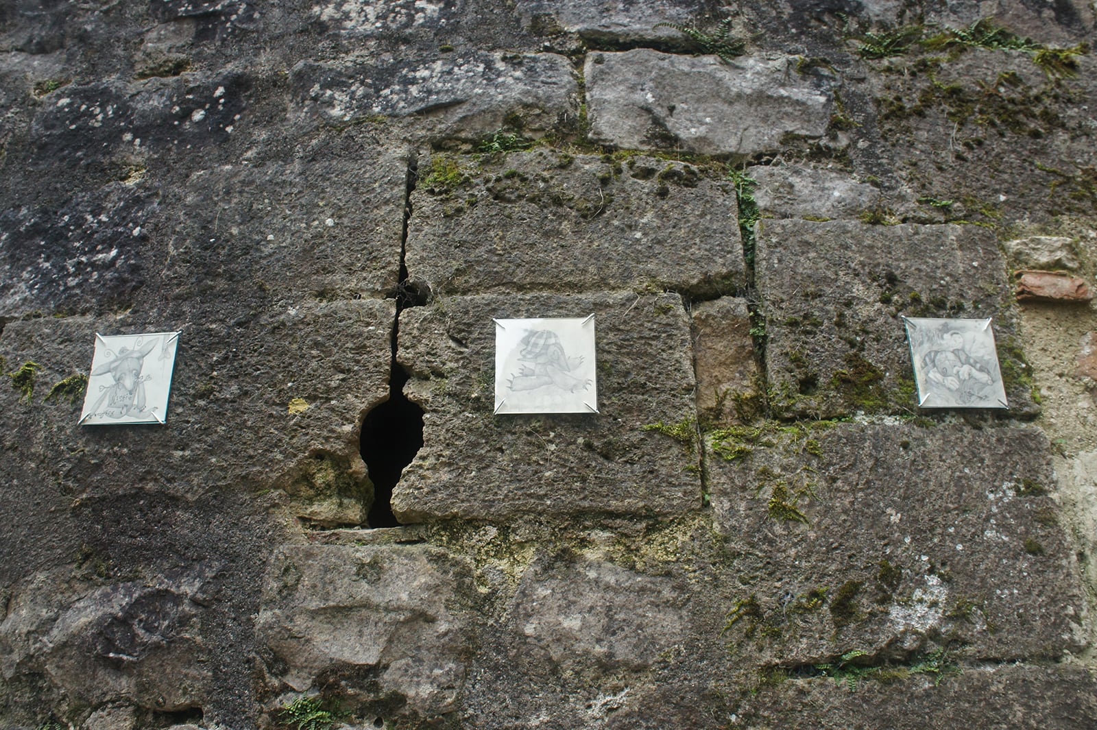 article image; primary-color: #5F5C53;