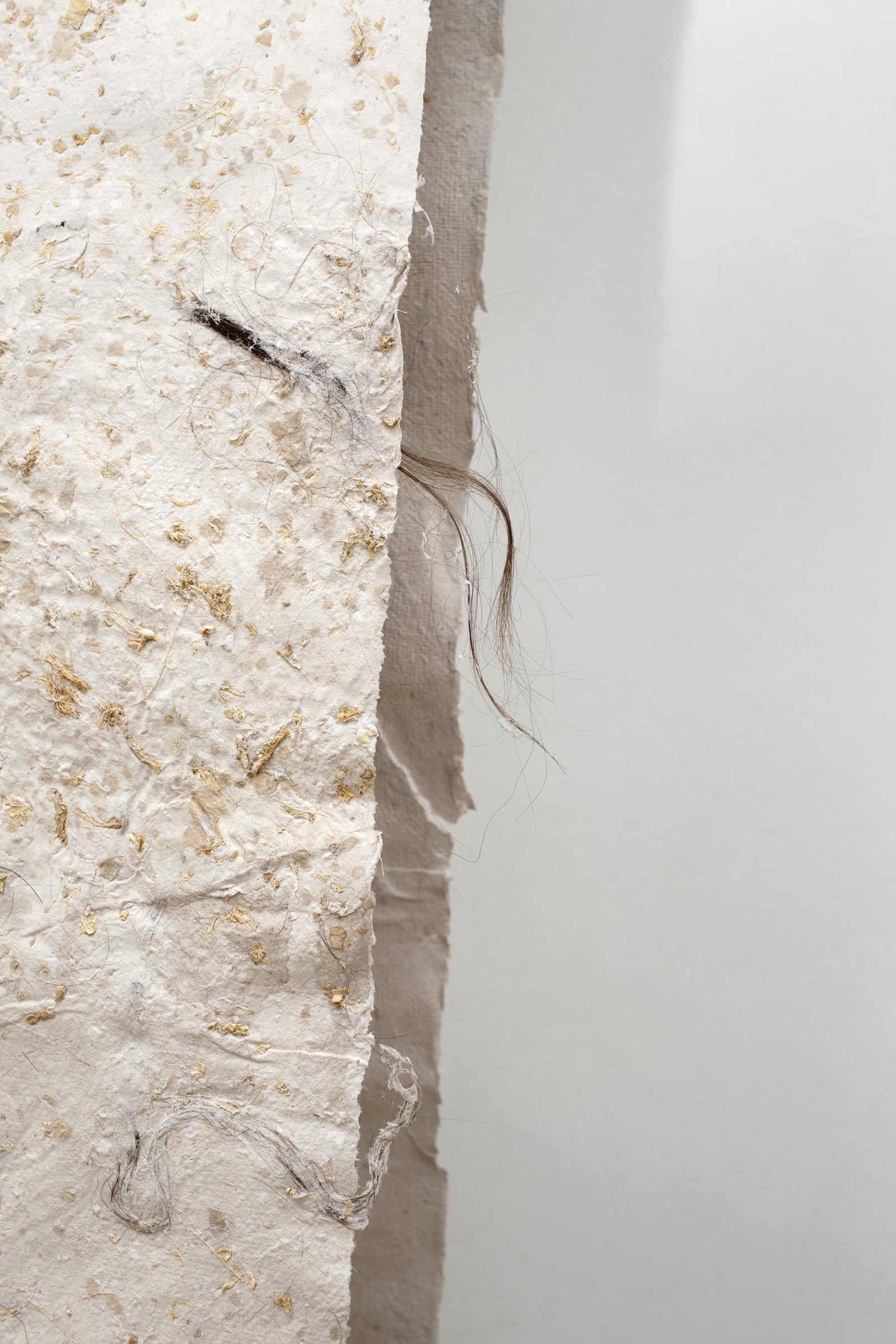 article image; primary-color: #CCC5BF;