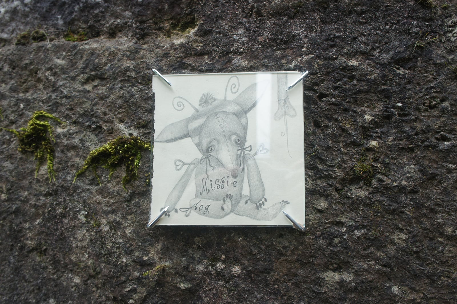 article image; primary-color: #52534B;