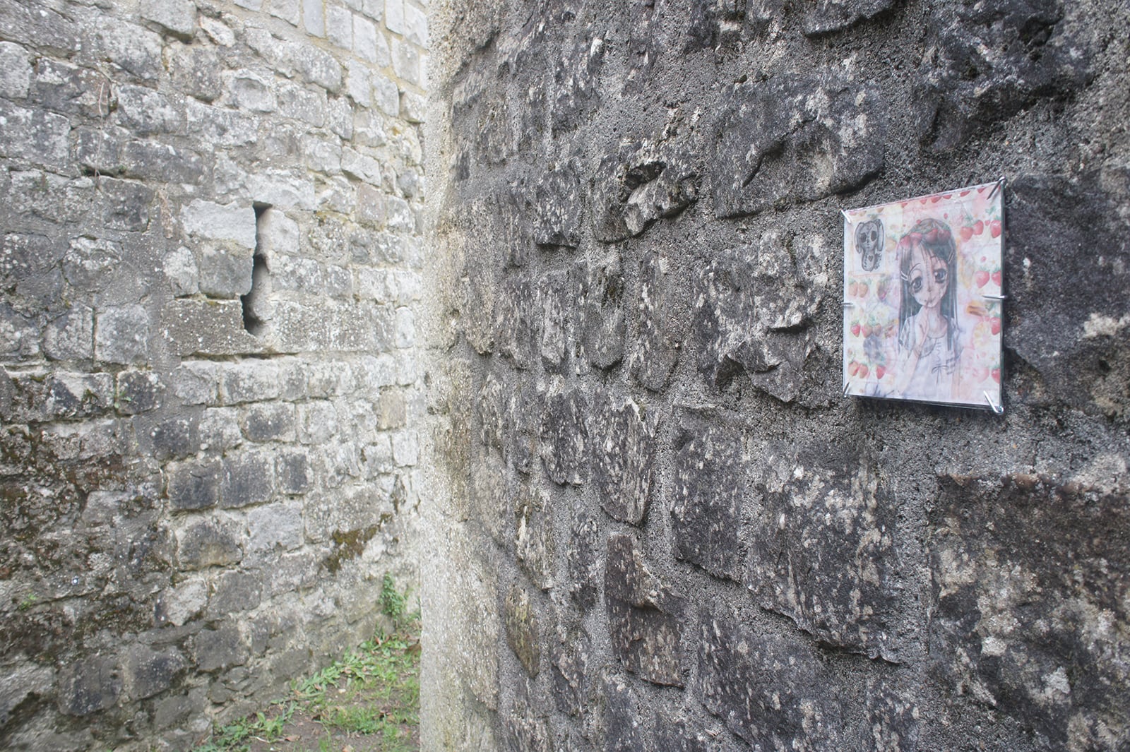 article image; primary-color: #868782;