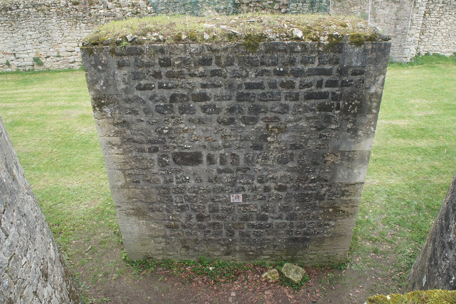 article image; primary-color: #838671;