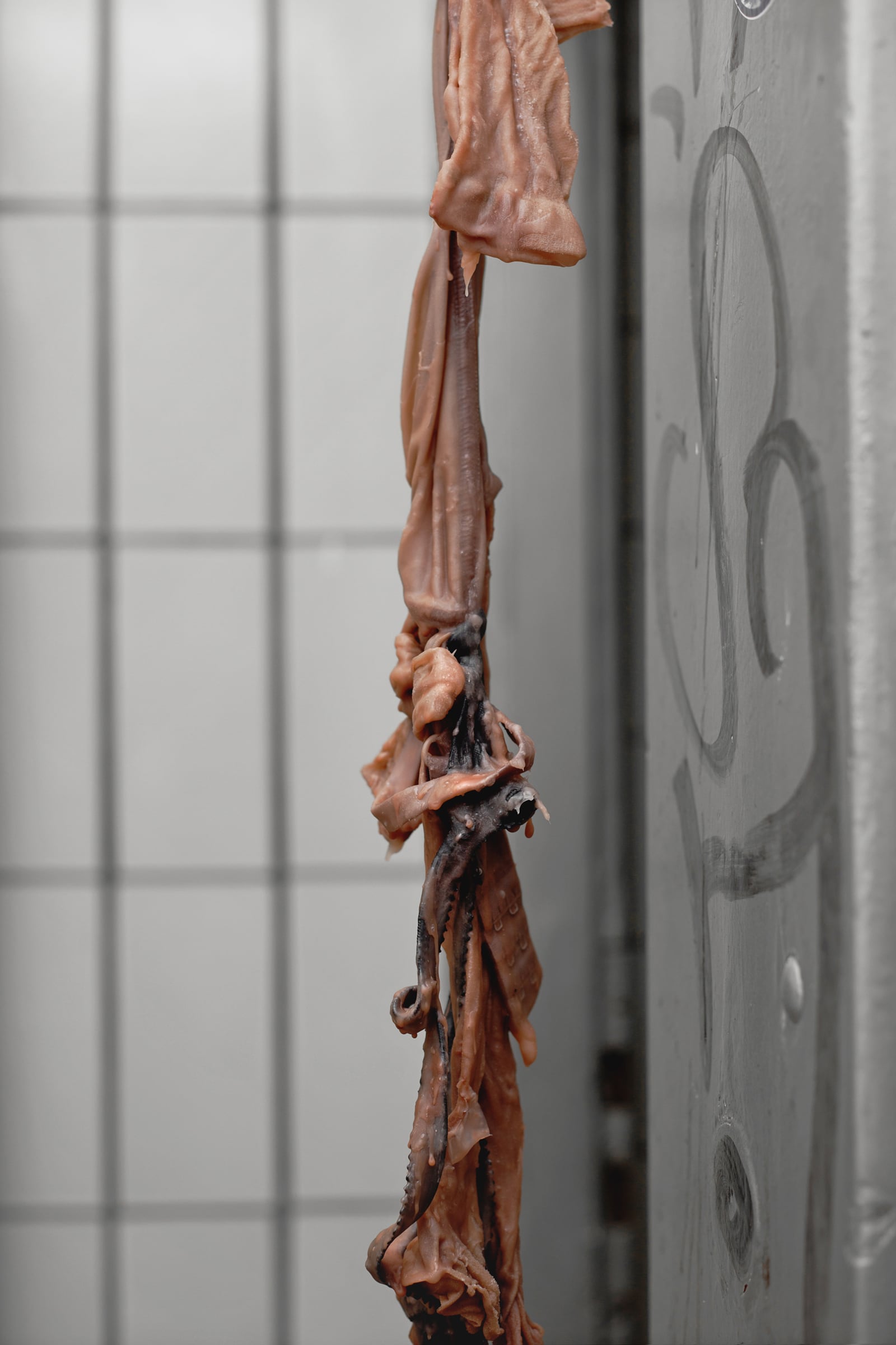 article image; primary-color: #918A84;