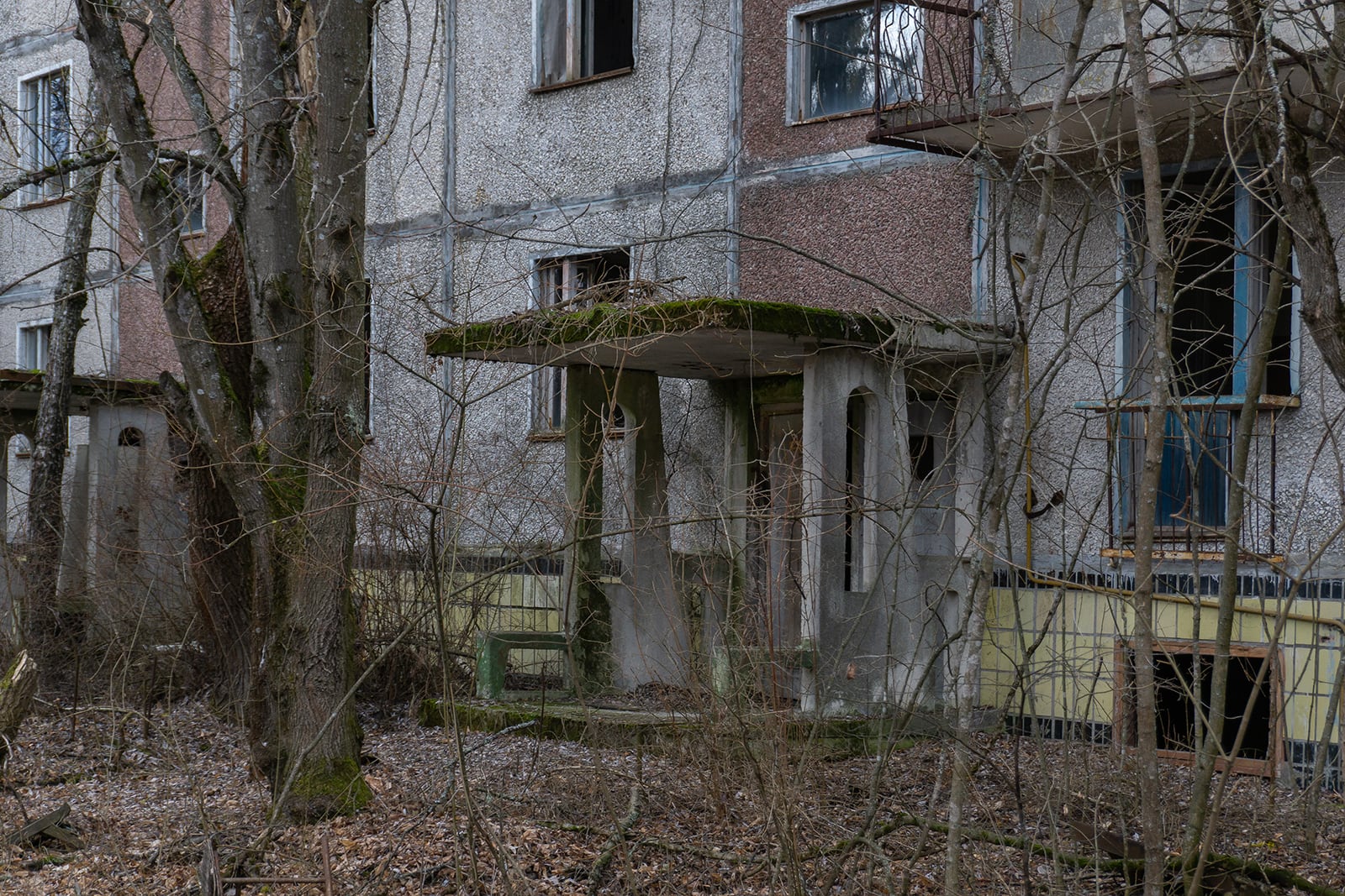 article image; primary-color: #514E47;