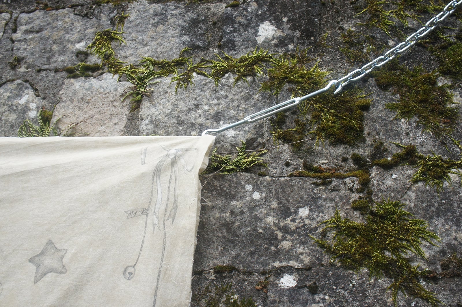 article image; primary-color: #7D7A71;