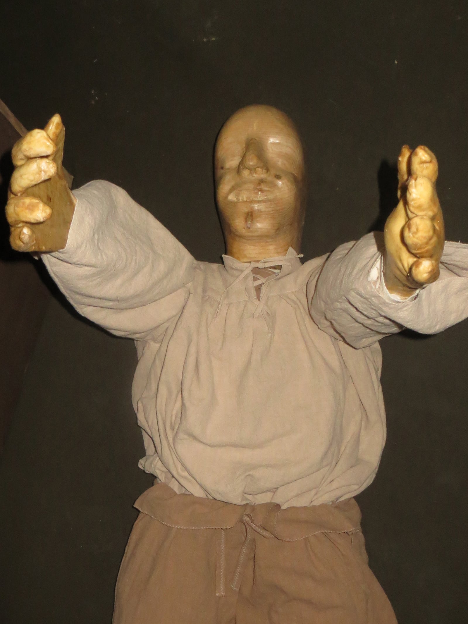 article image; primary-color: #64543D;