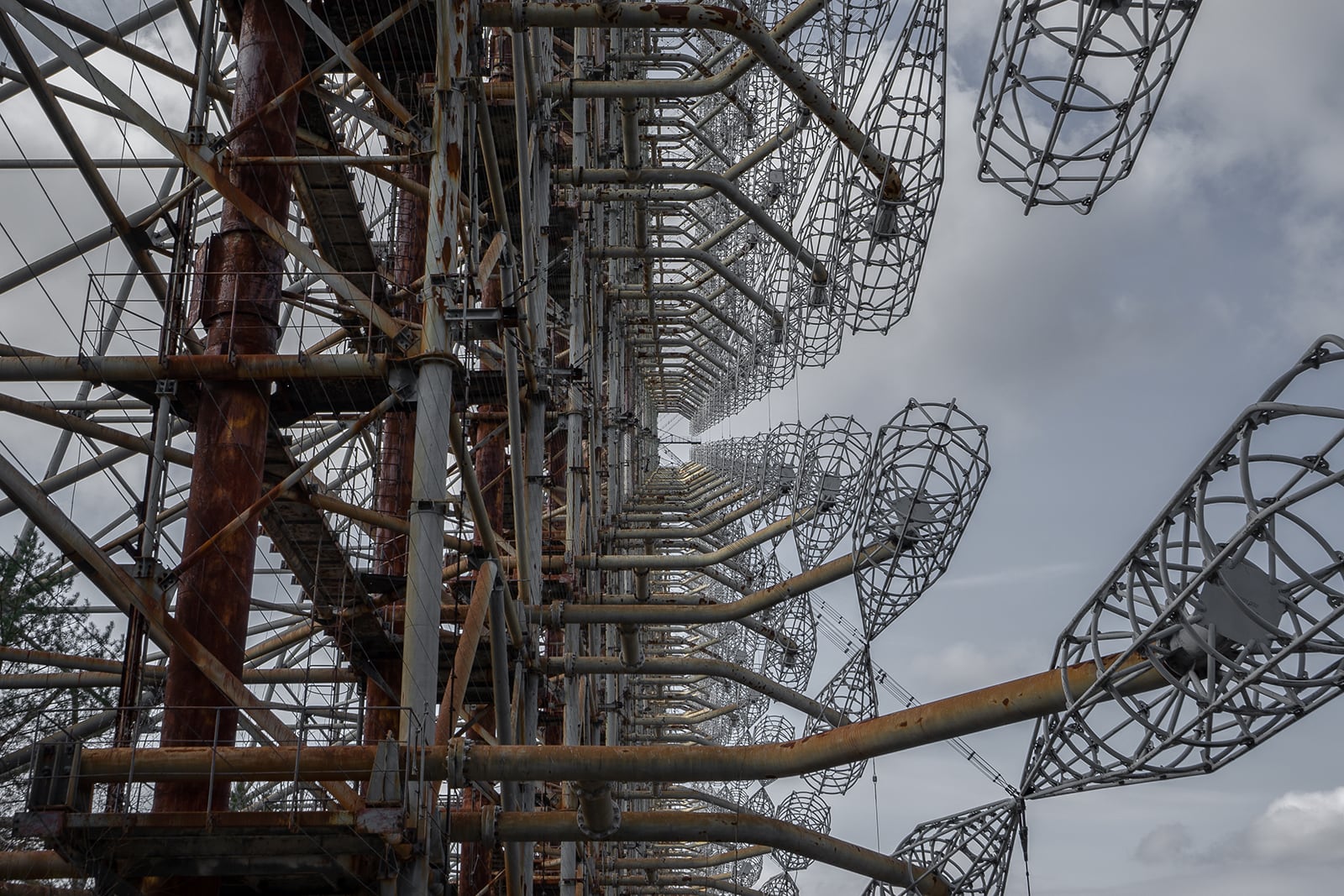 article image; primary-color: #605F64;