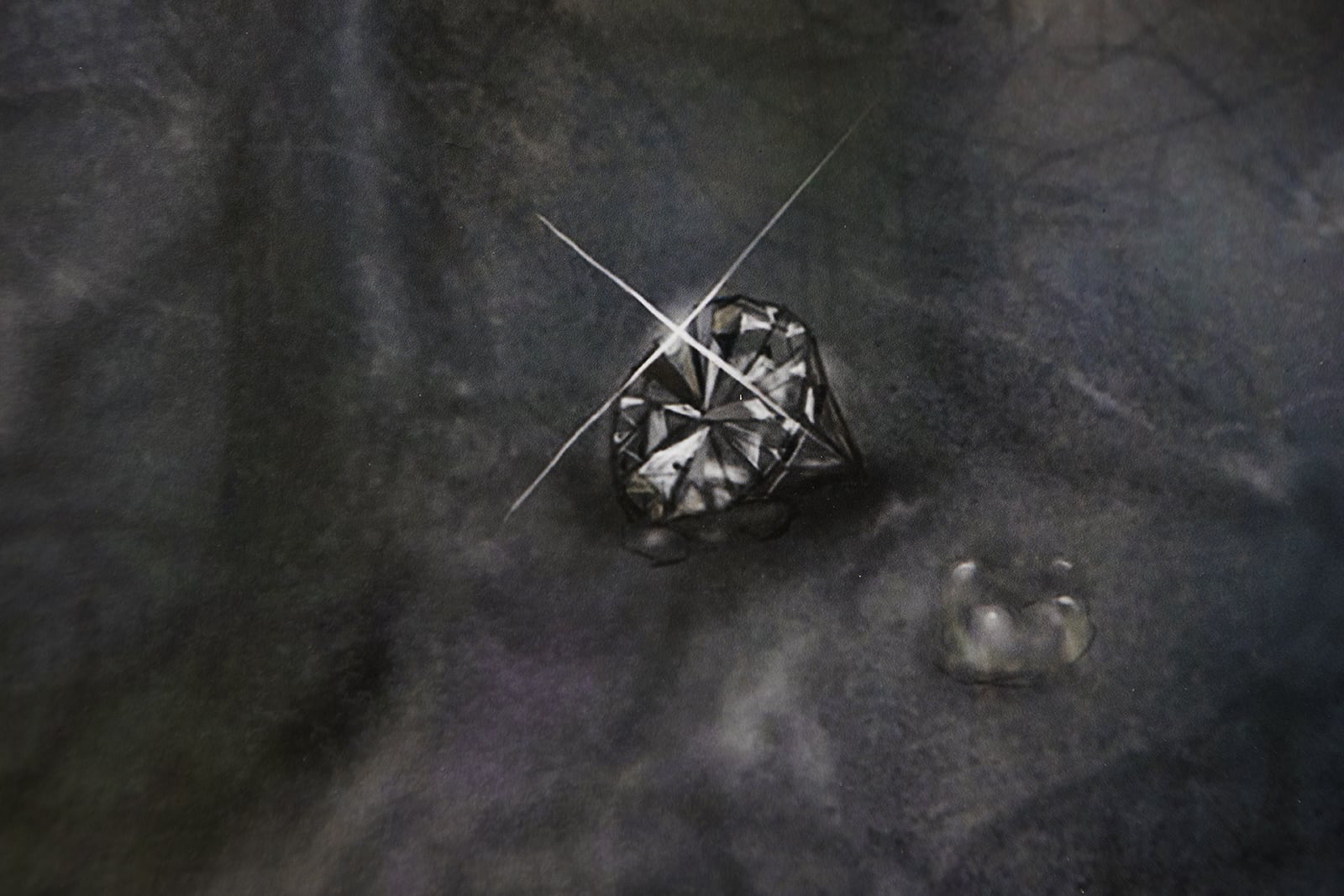 article image; primary-color: #383838;