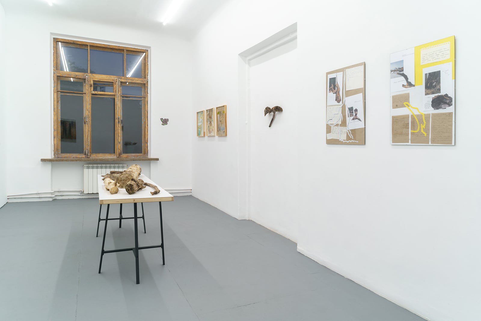 article image; primary-color: ;